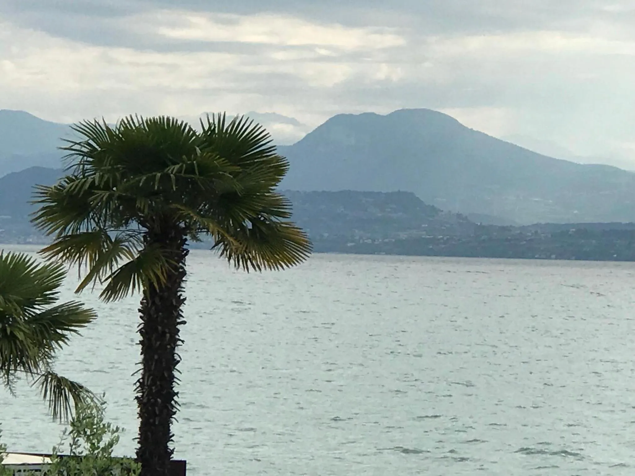 Natural landscape in Hotel Villa Rosa
