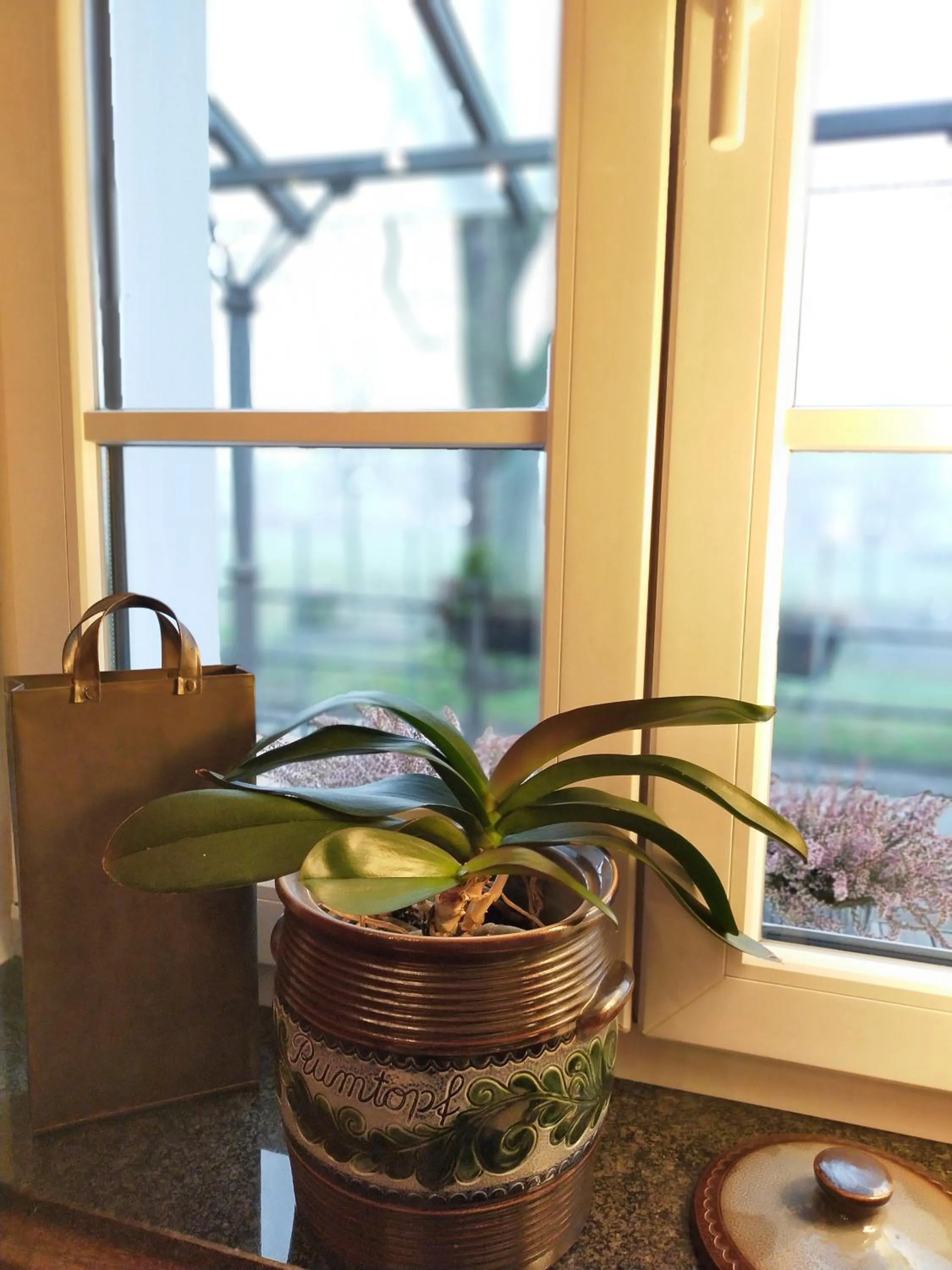 Restaurant/places to eat in Hotel Xtra Gleis