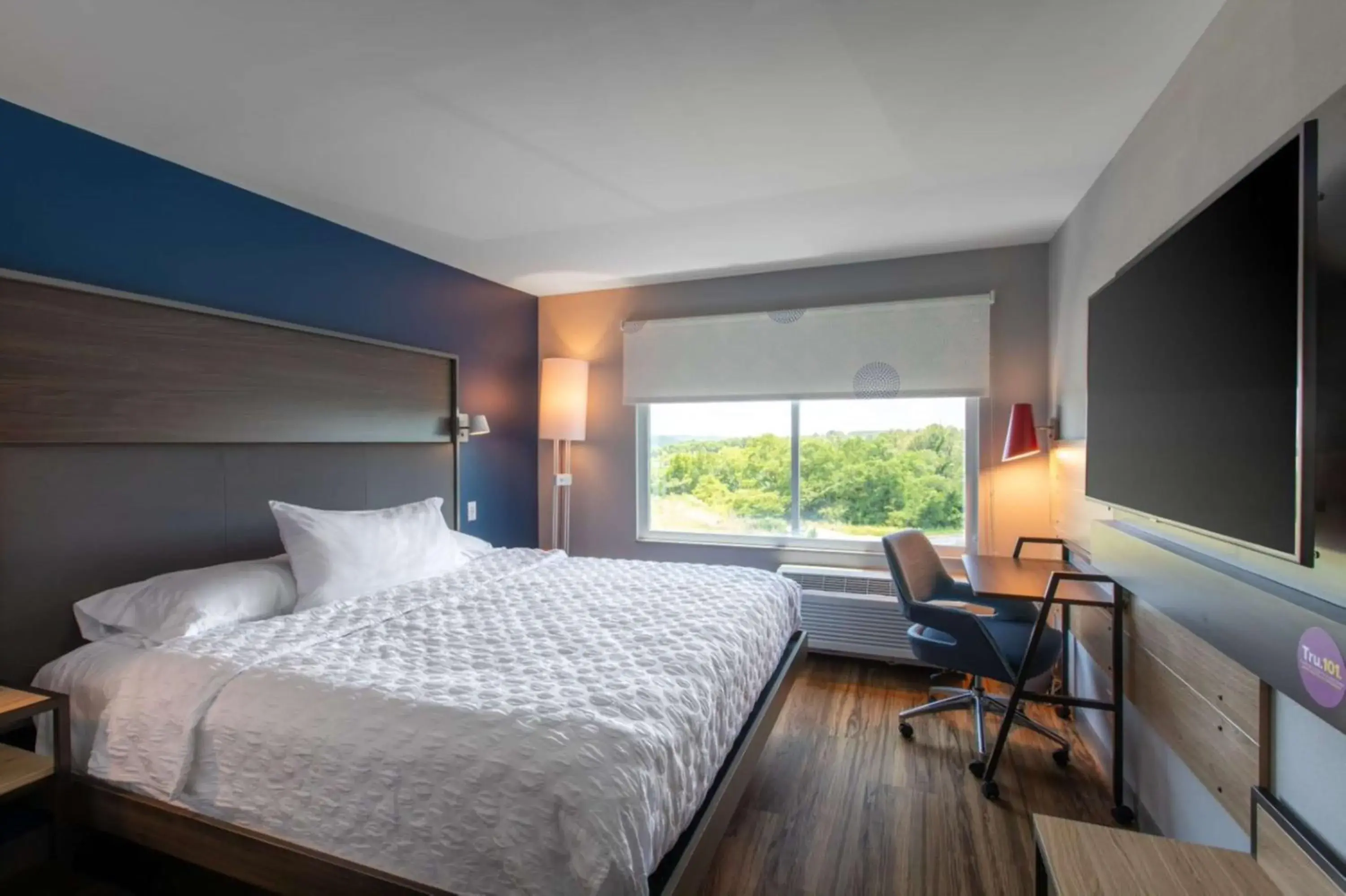 King Room in Tru By Hilton Seneca Clemson Sc King Room in Tru By Hilton Seneca Clemson Sc