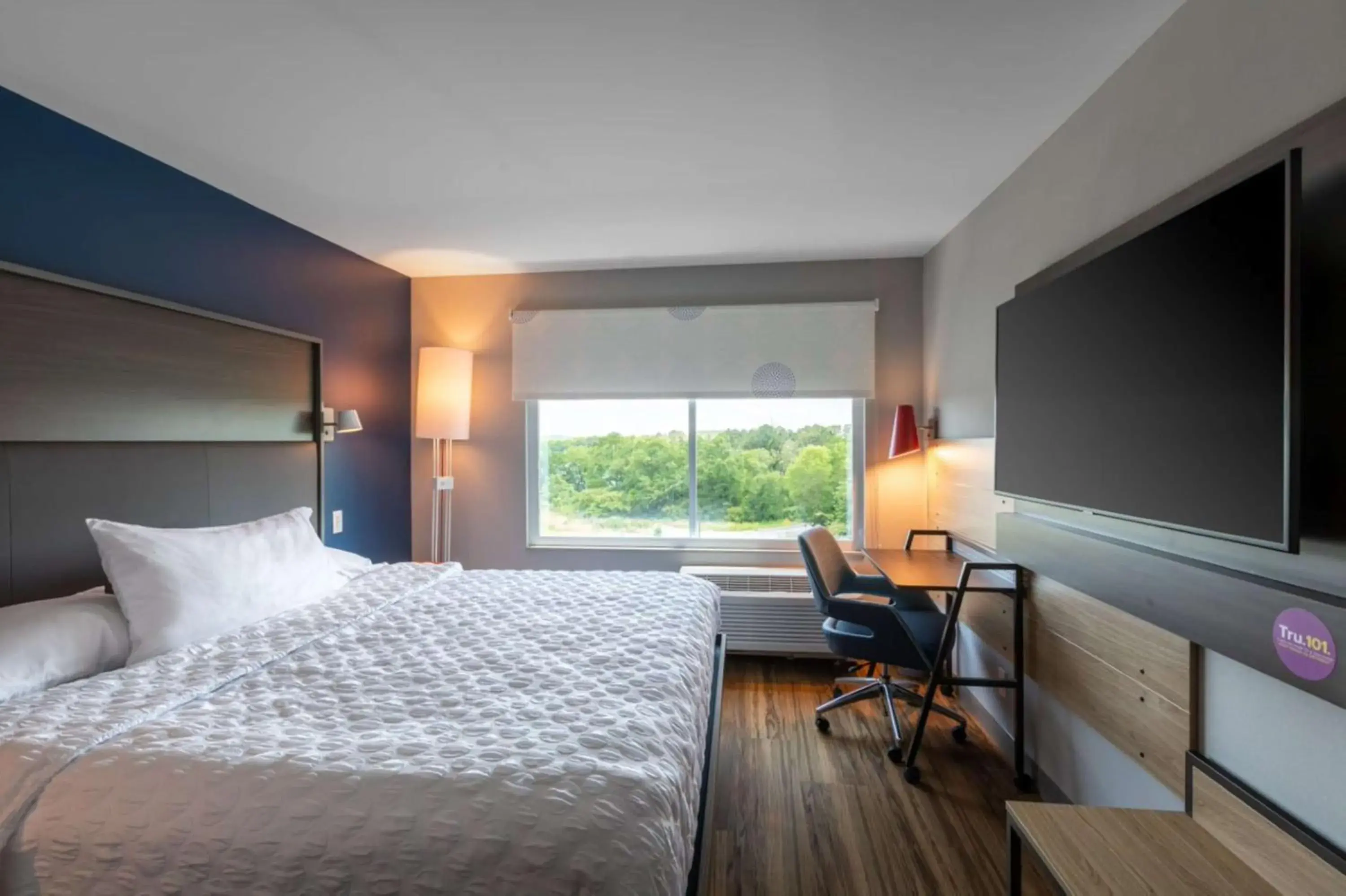 King Room - Hearing Access in Tru By Hilton Seneca Clemson Sc King Room - Hearing Access in Tru By Hilton Seneca Clemson Sc