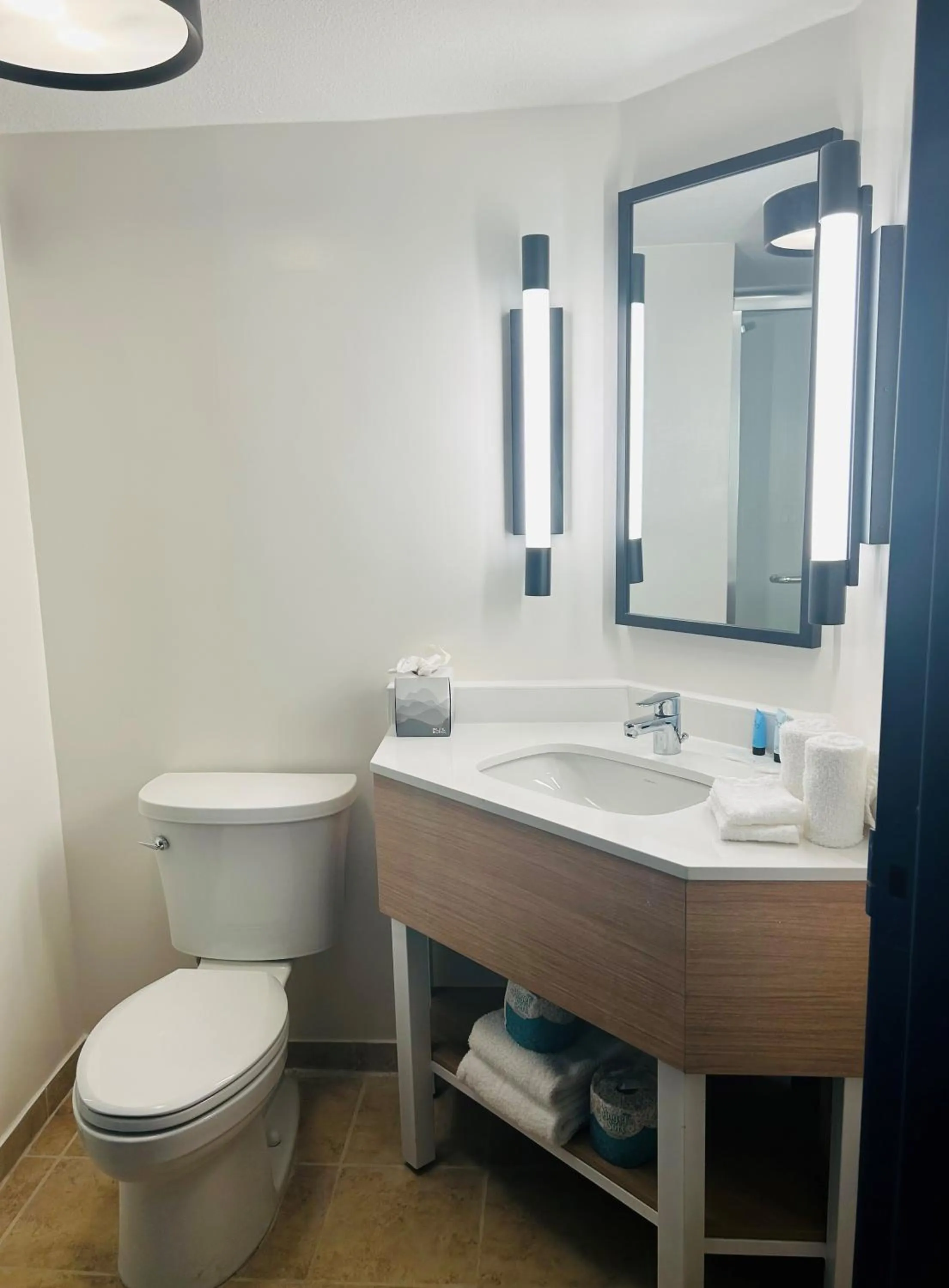 Bathroom in Spark by Hilton Tampa Brandon