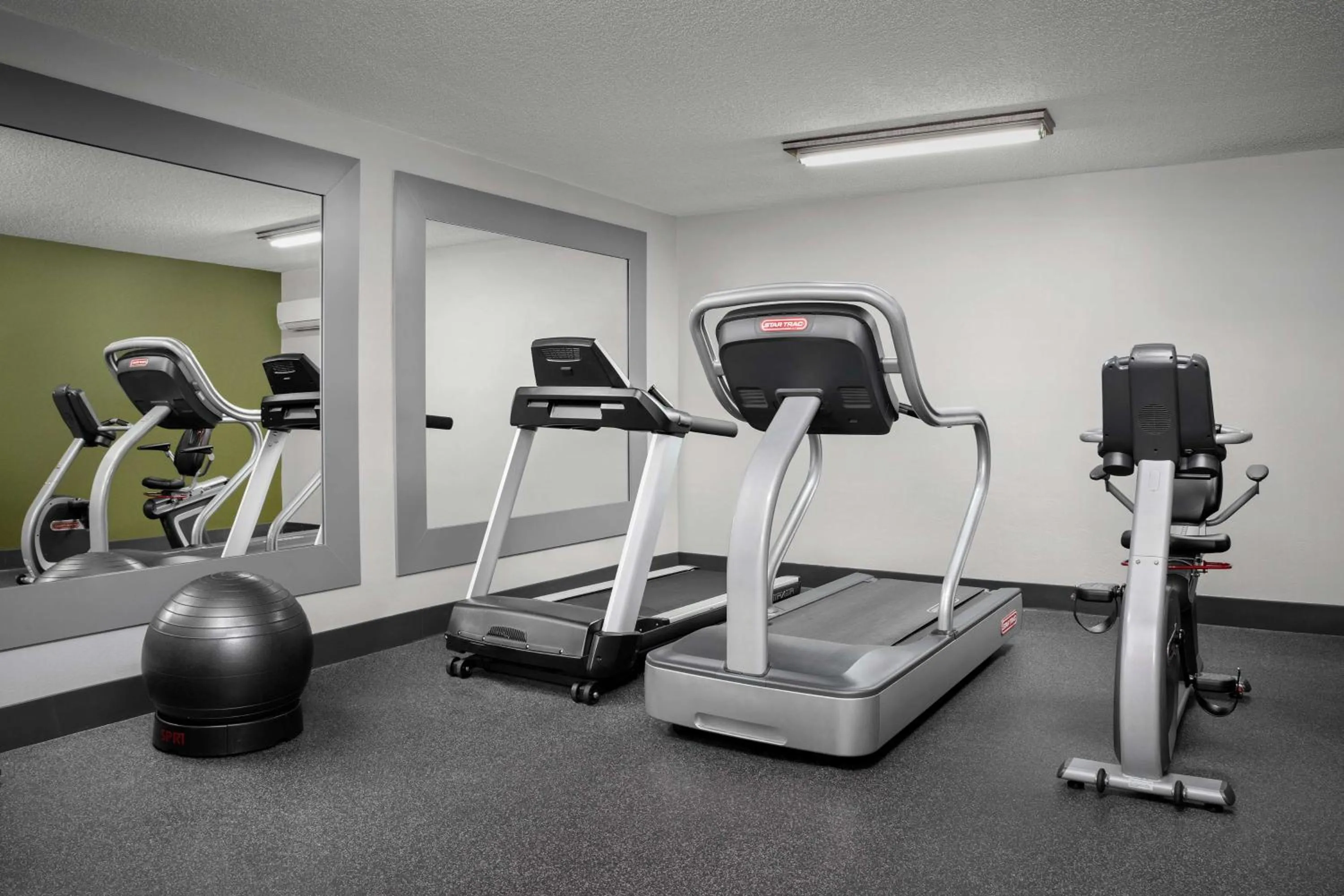 Fitness centre/facilities in Spark by Hilton Tampa Brandon