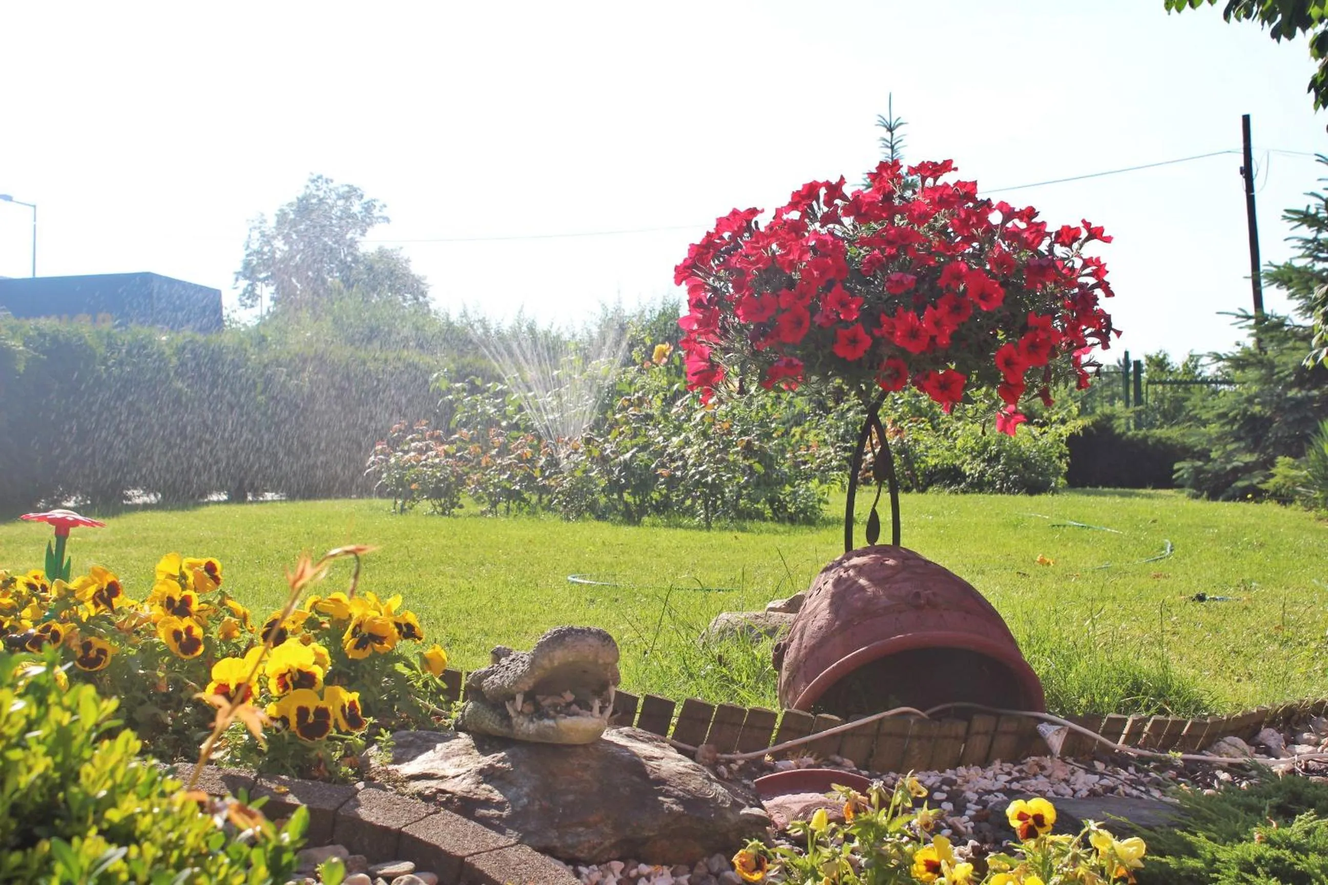 Garden in Hotel Bursztyn