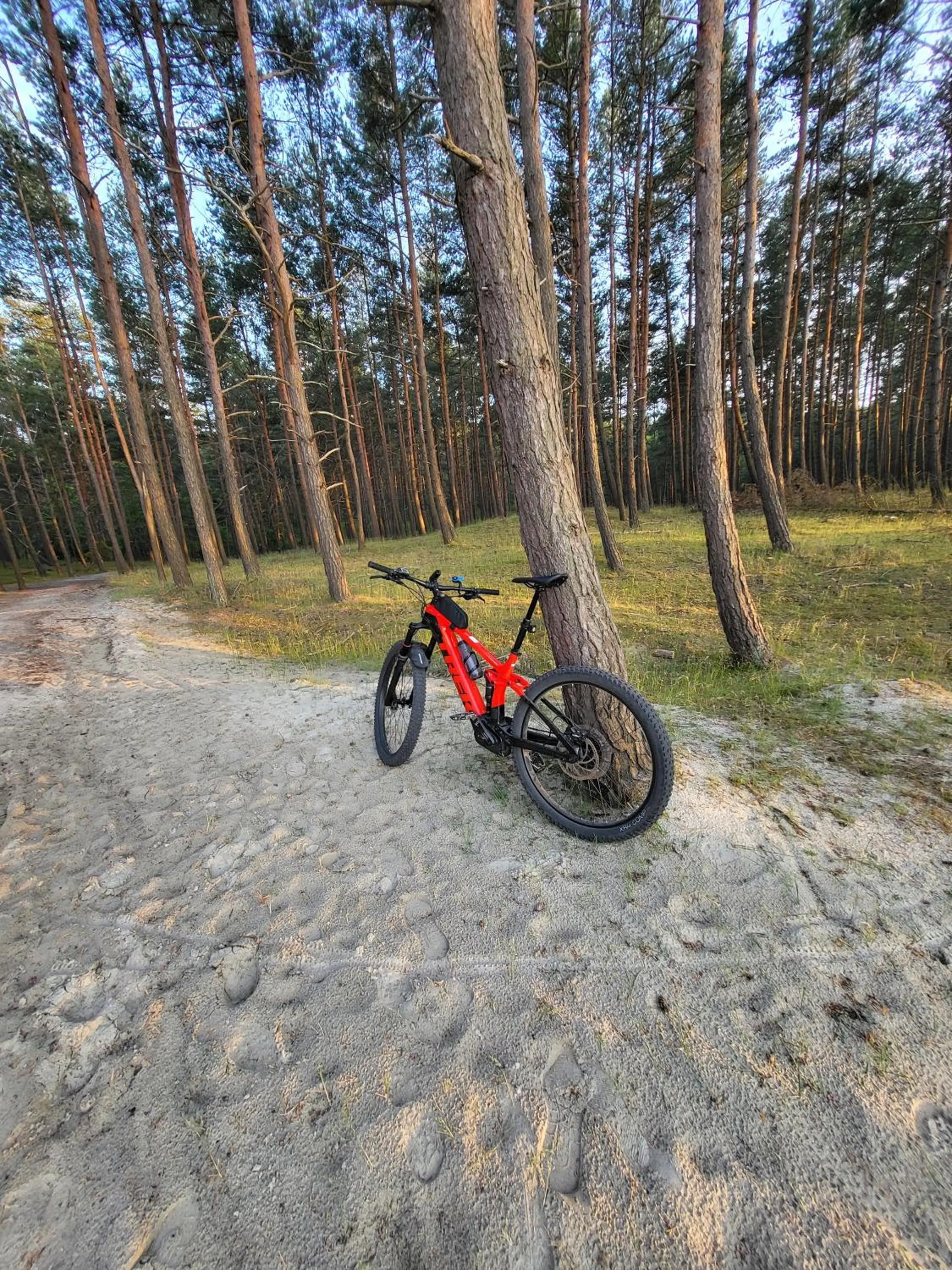 Cycling in Domki Skowronki