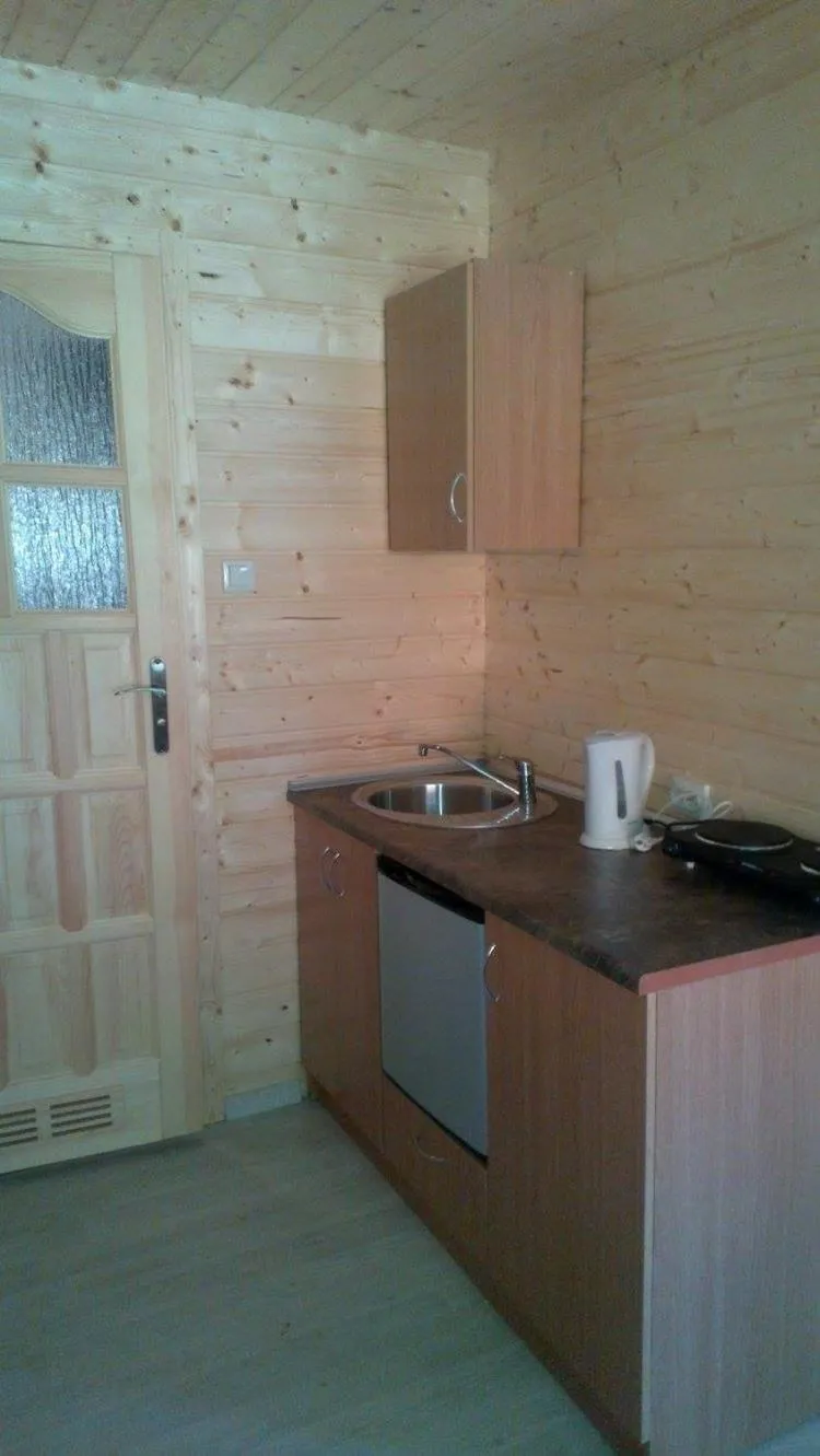 Kitchen or kitchenette in Domki Skowronki