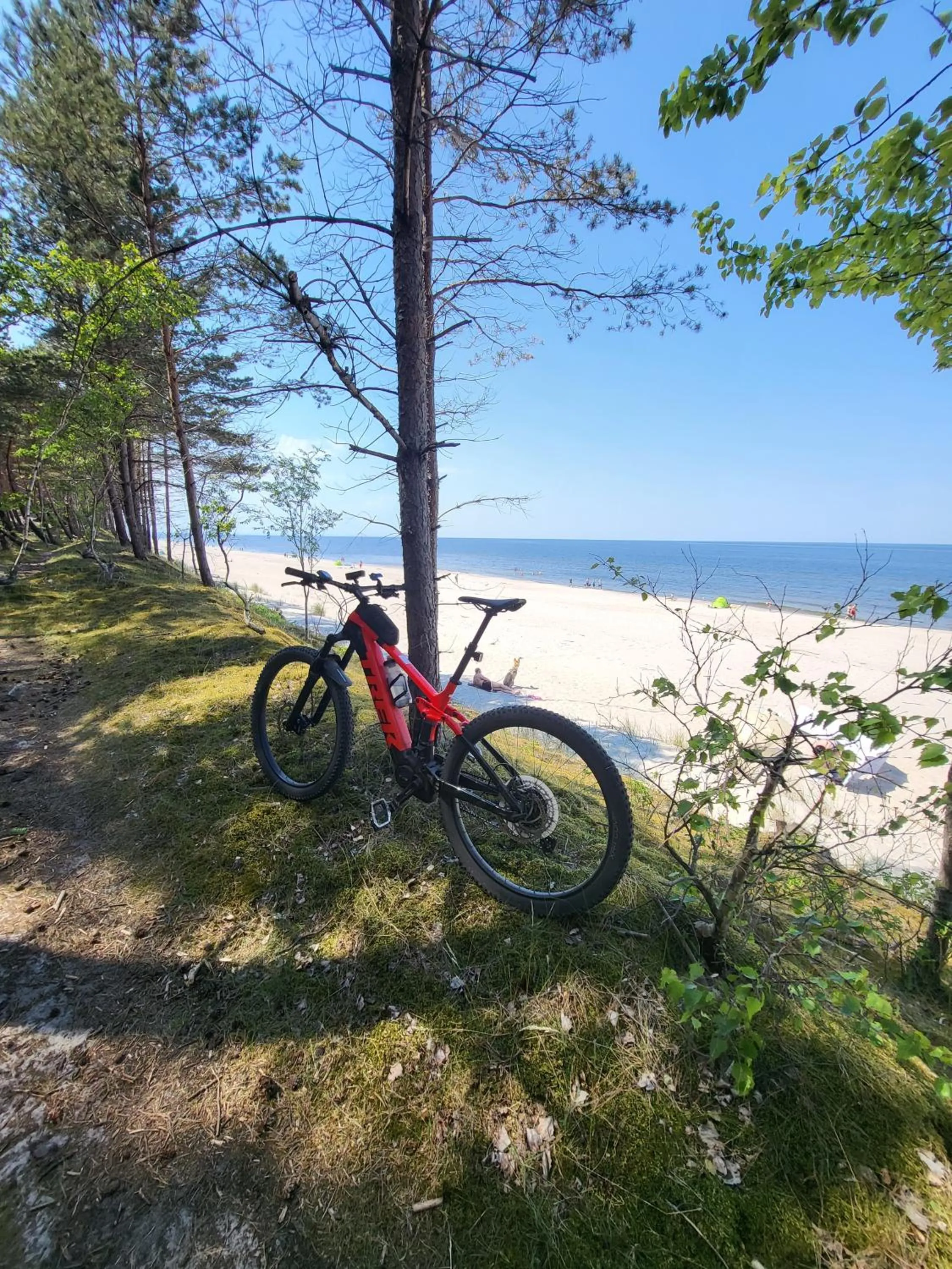 Cycling in Domki Skowronki