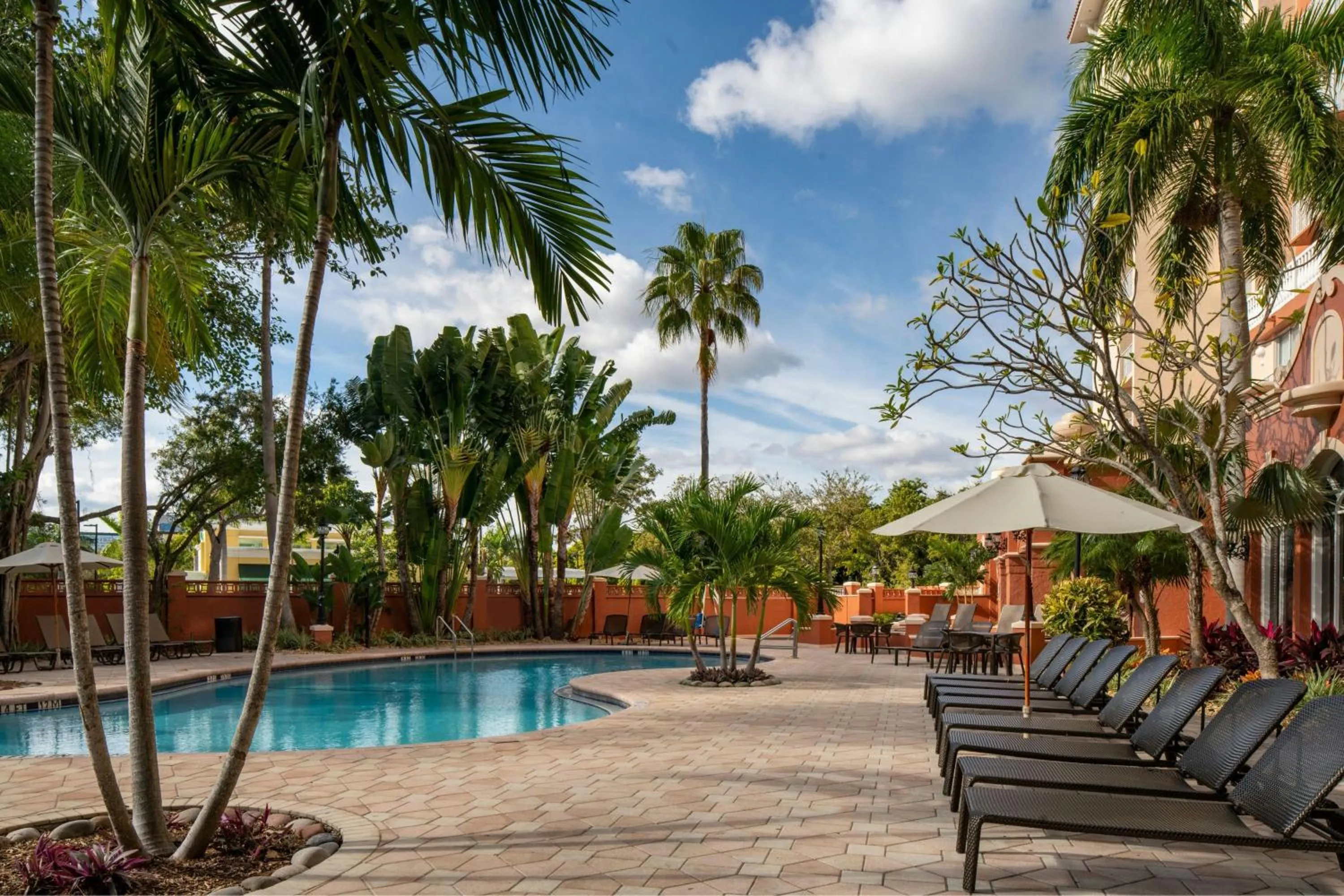 Swimming pool in Sheraton Suites Fort Lauderdale at Cypress Creek