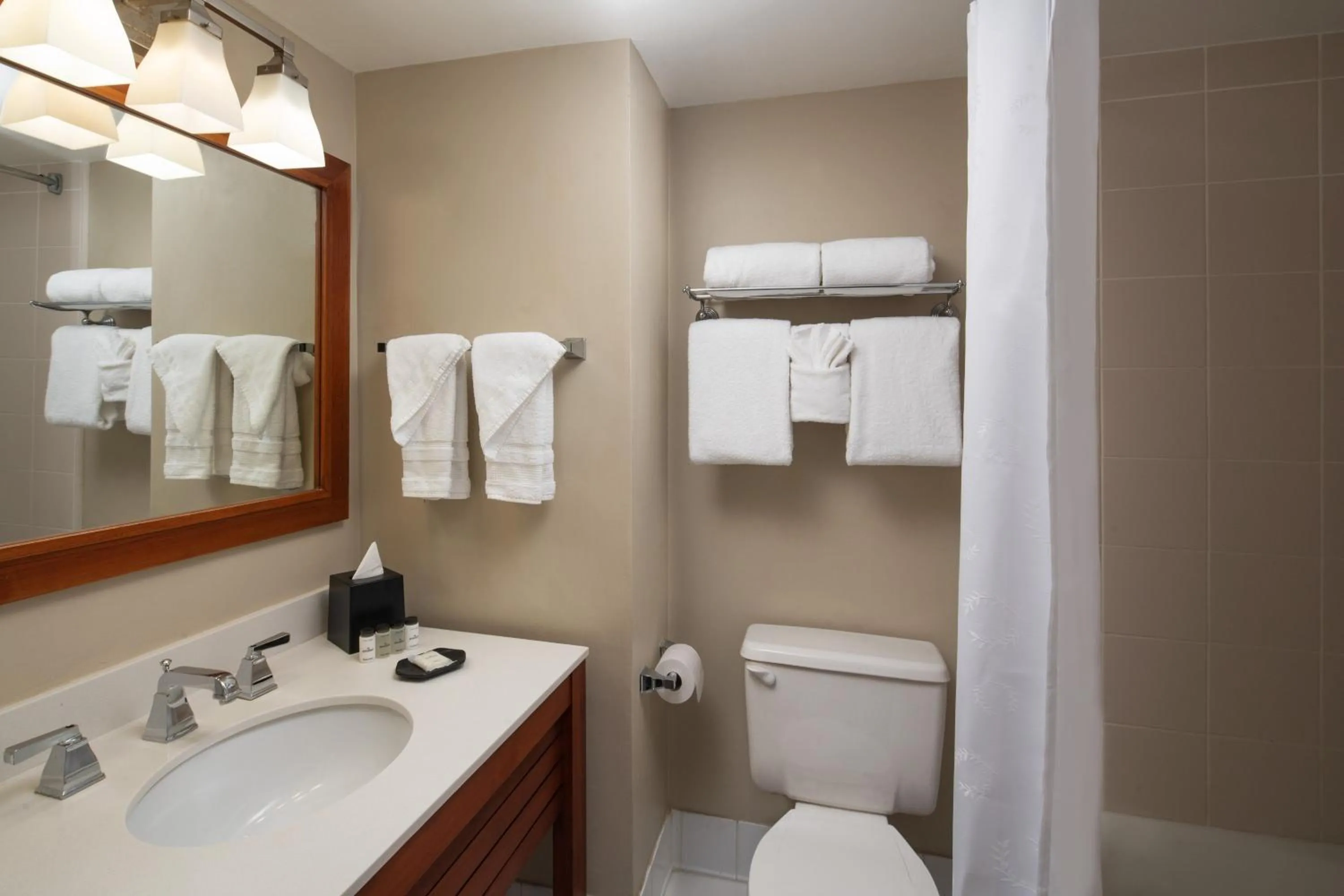 Bathroom in Sheraton Suites Fort Lauderdale at Cypress Creek