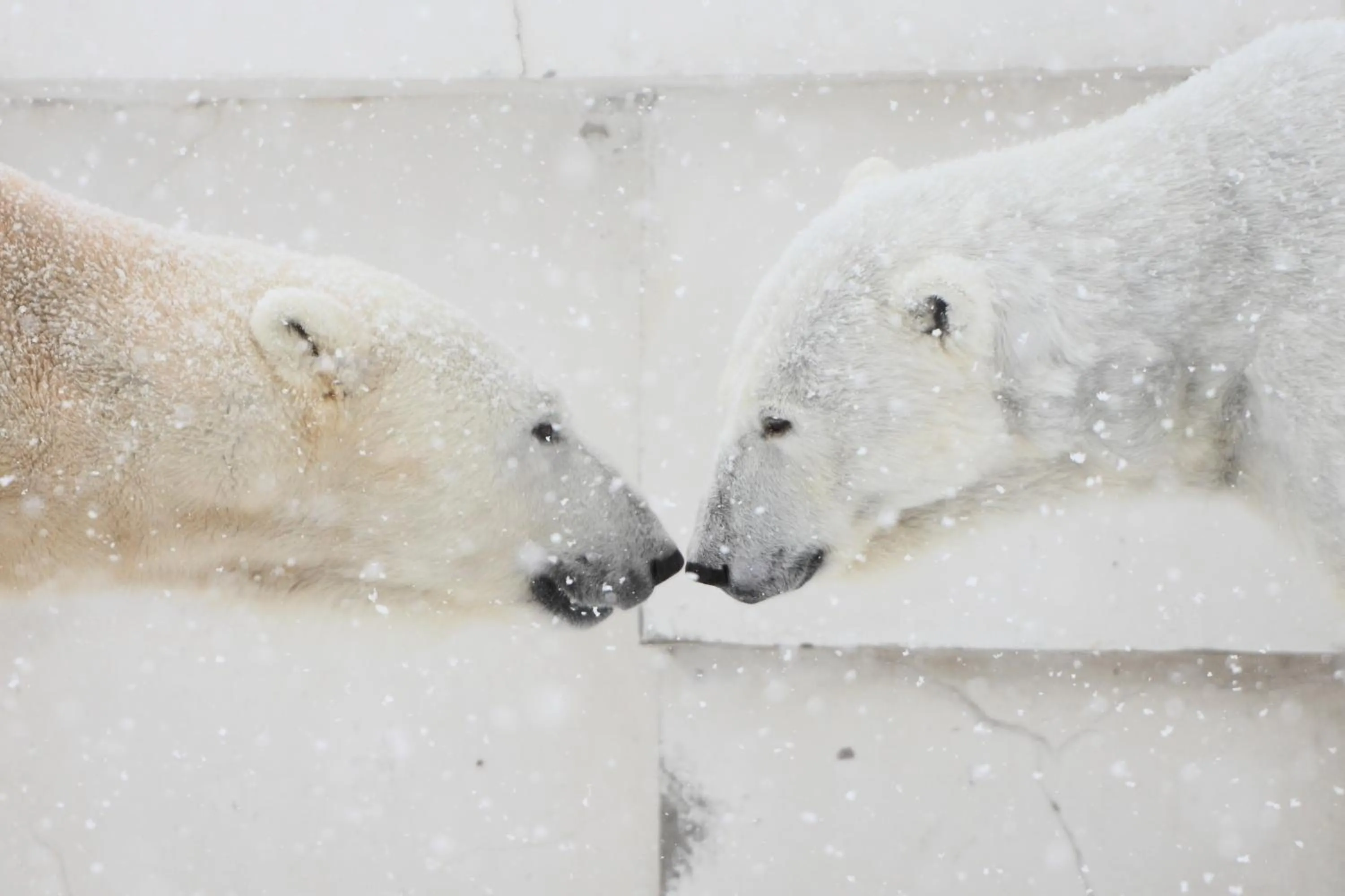 Nearby landmark in The Base Sapporo Susukino