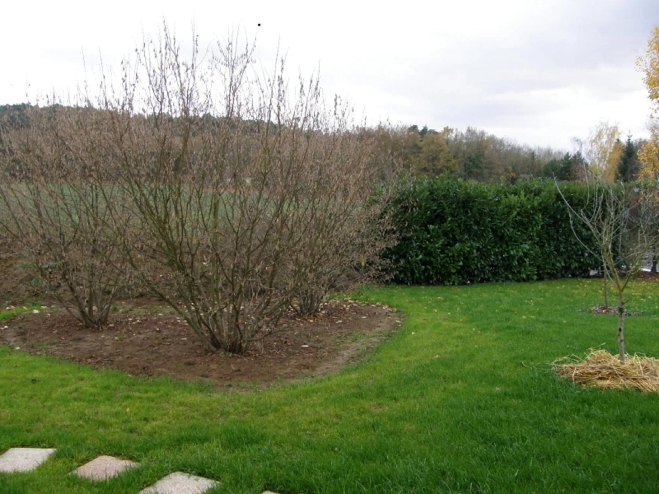 Garden in La Raimbaudière