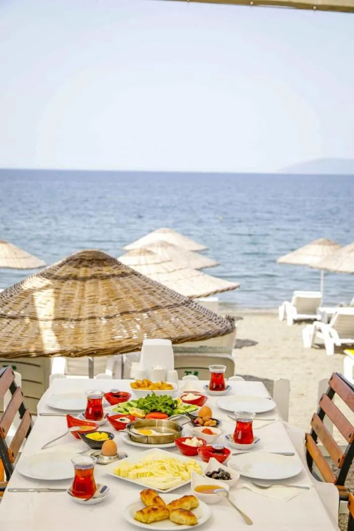 Teos Ormanci Tatil Koyu