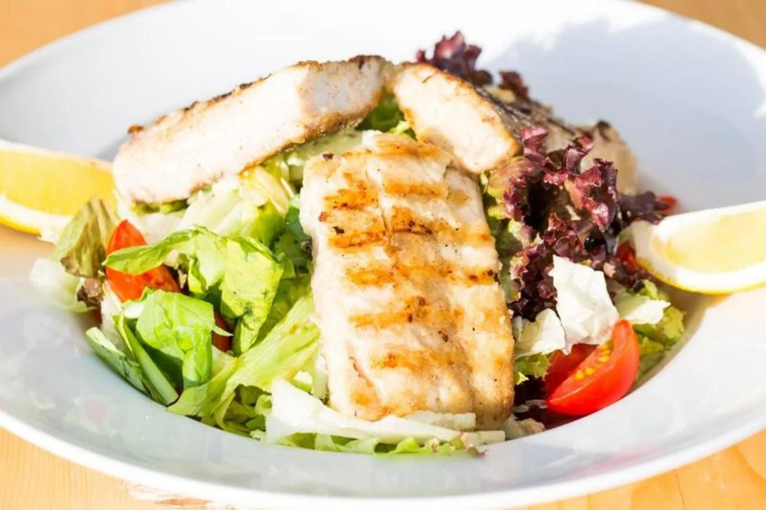 Teos Ormanci Tatil Koyu