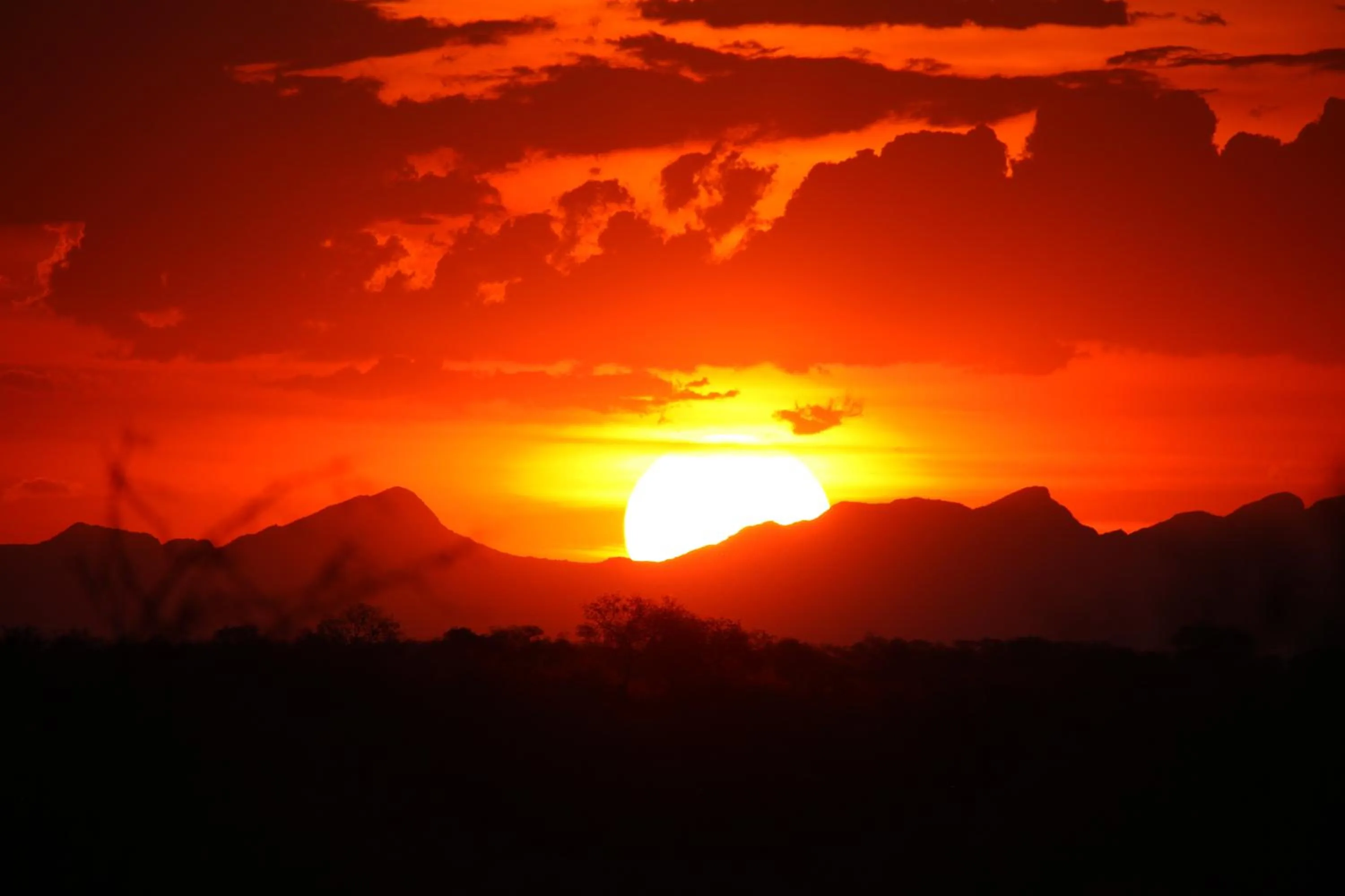 Ivory Wilderness River Rock Lodge