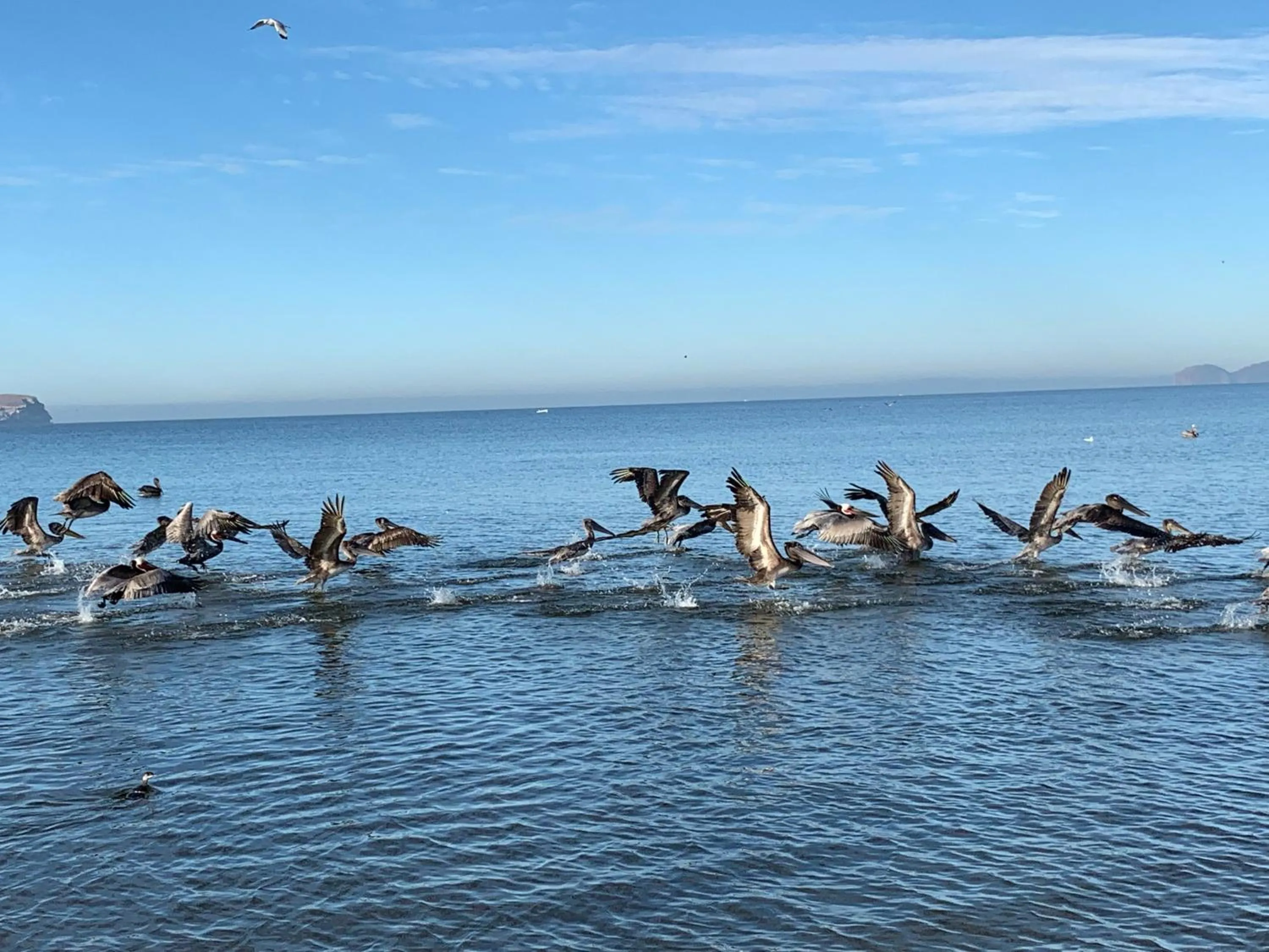 Natural landscape in Condominios San Carlos