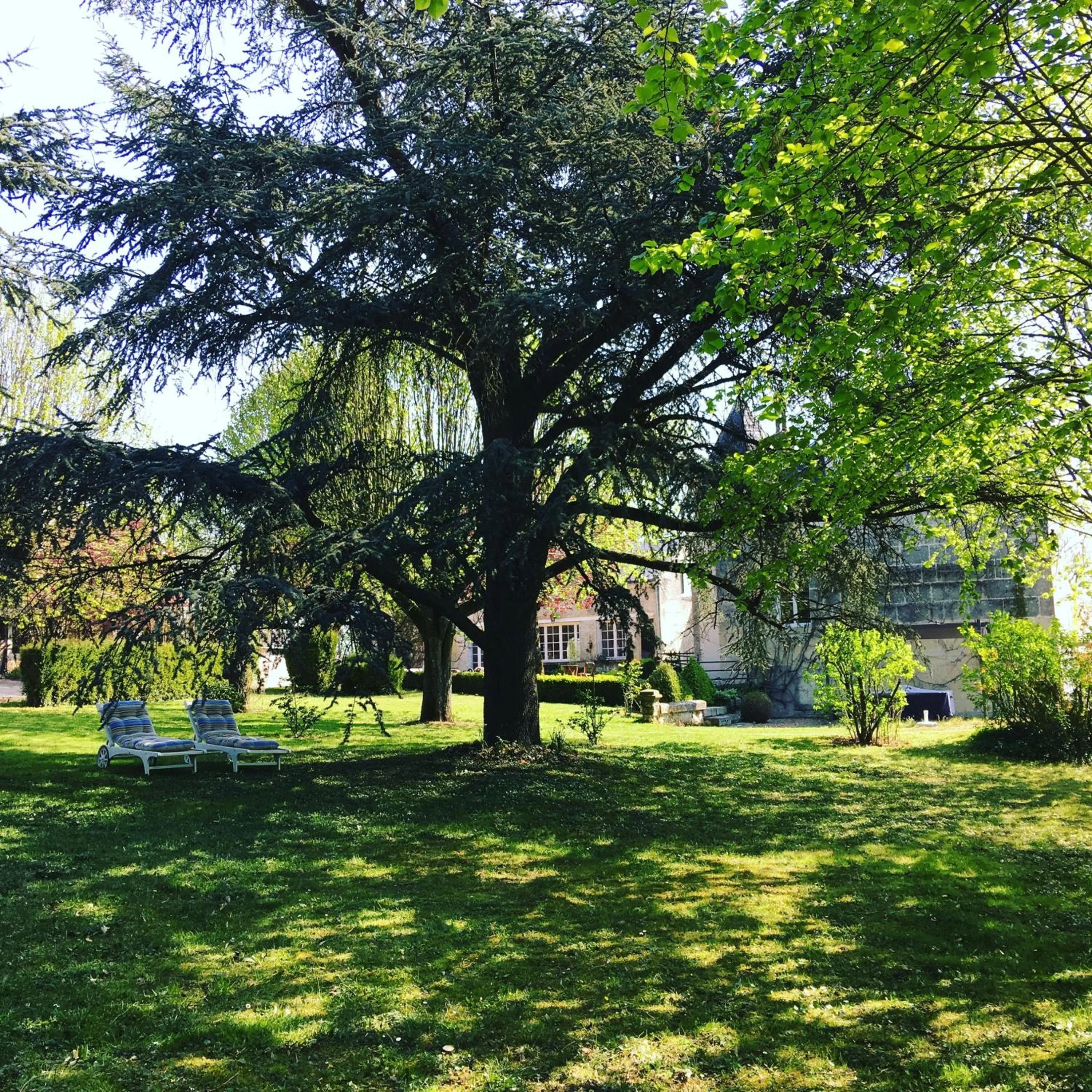 Garden view in Au Bonheur Dupré B&B