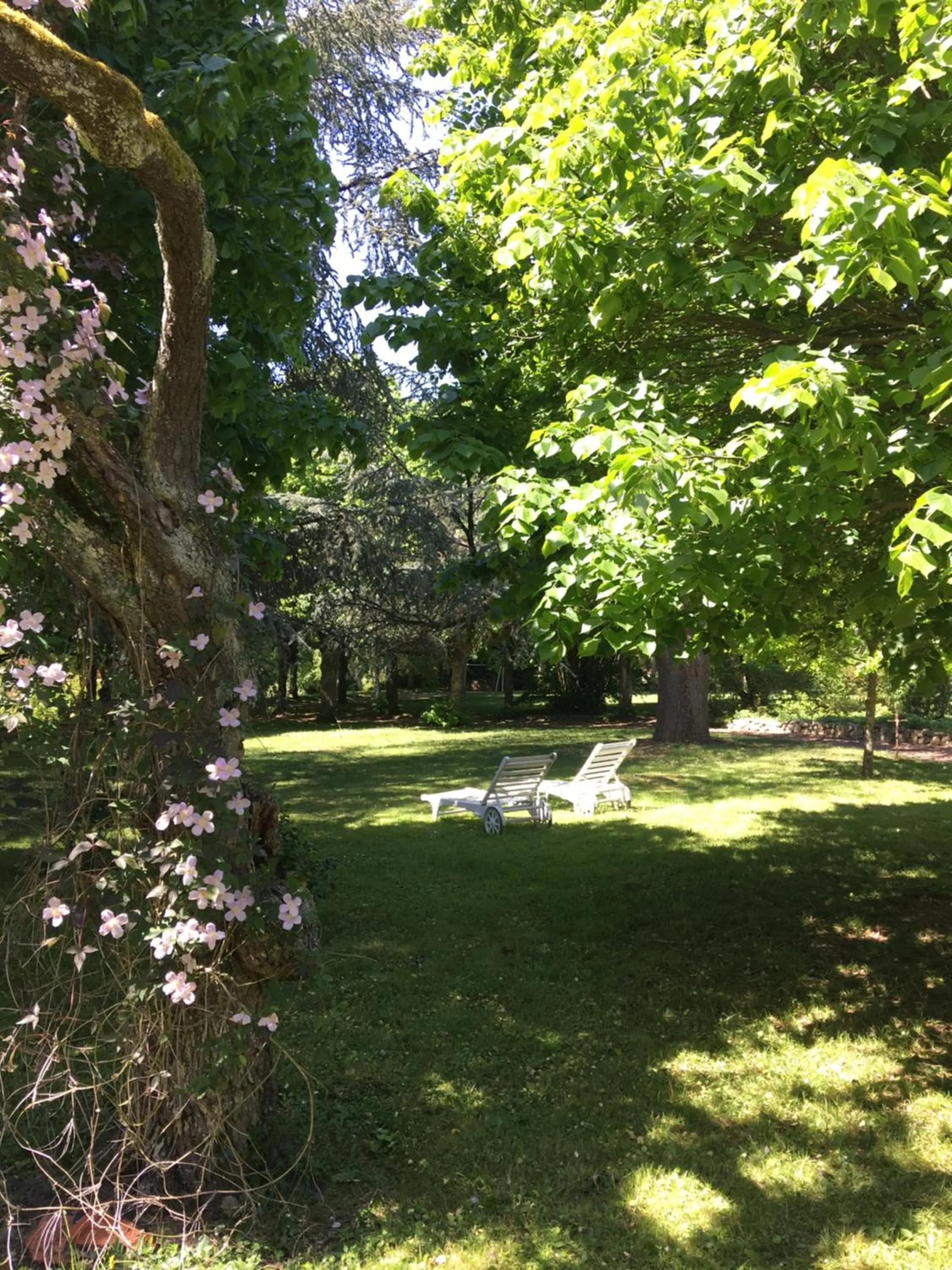 Garden in Au Bonheur Dupré B&B
