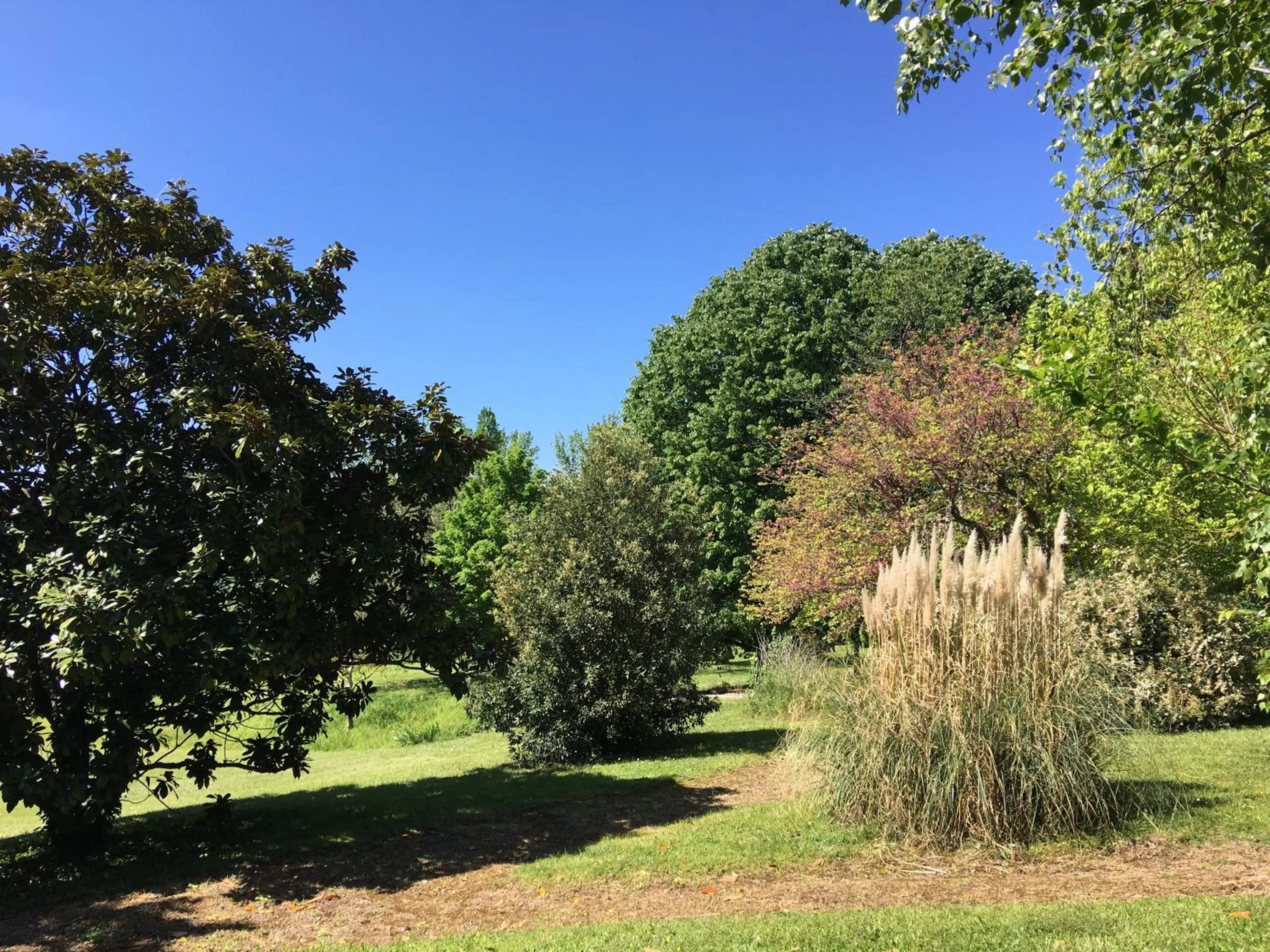 Garden in Au Bonheur Dupré B&B