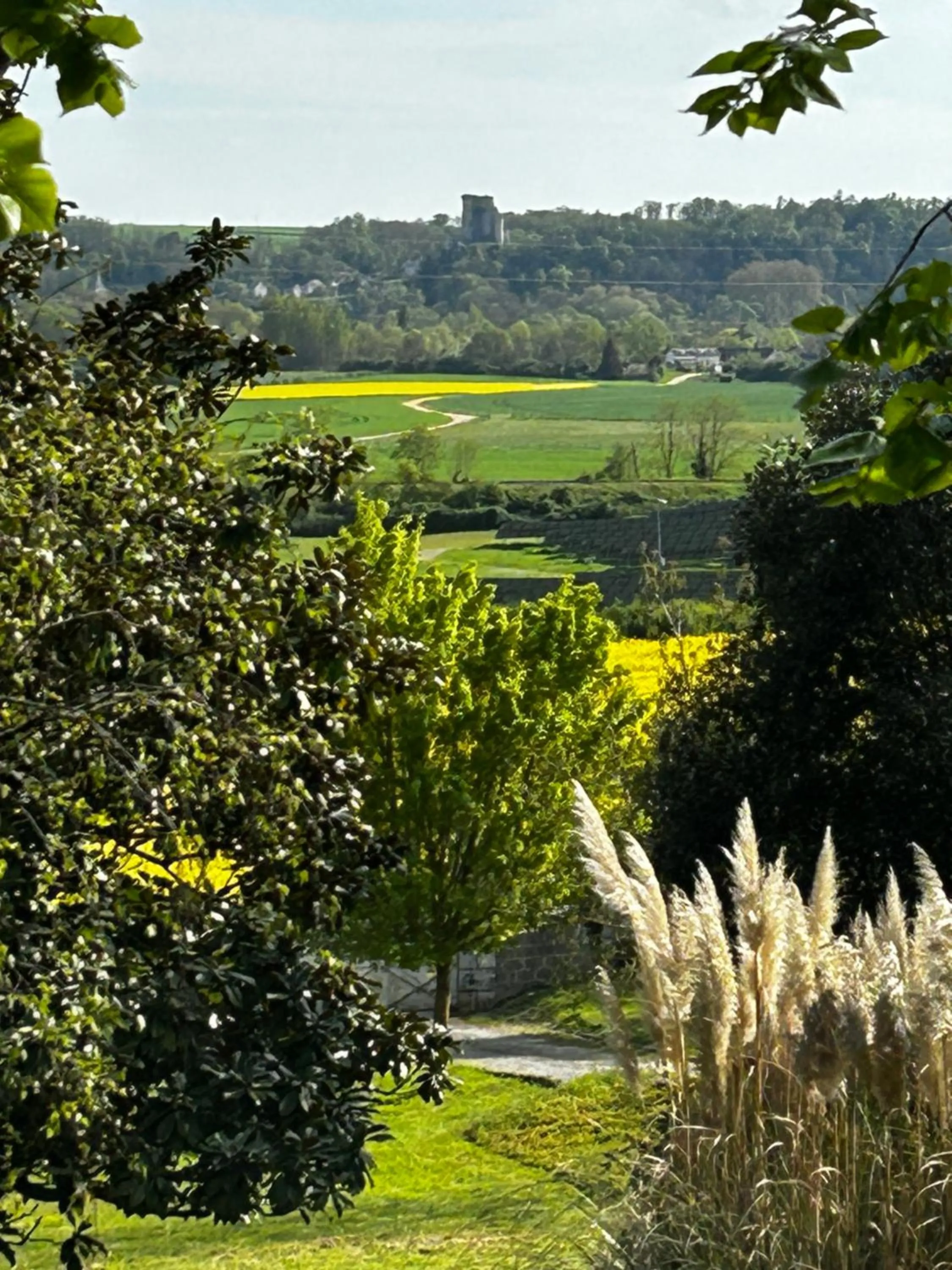 Au Bonheur Dupré B&B
