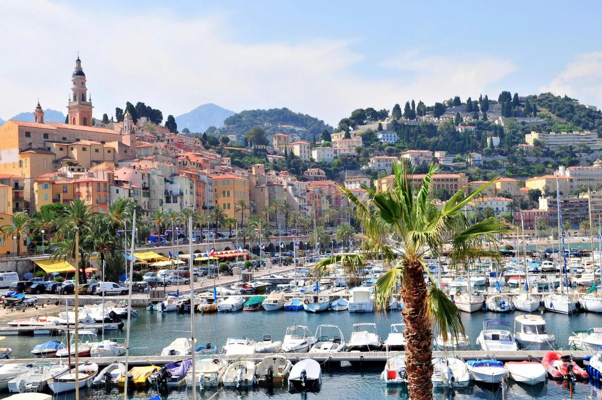 Natural landscape in Hôtel Miléade L'Orangeraie - entièrement rénové