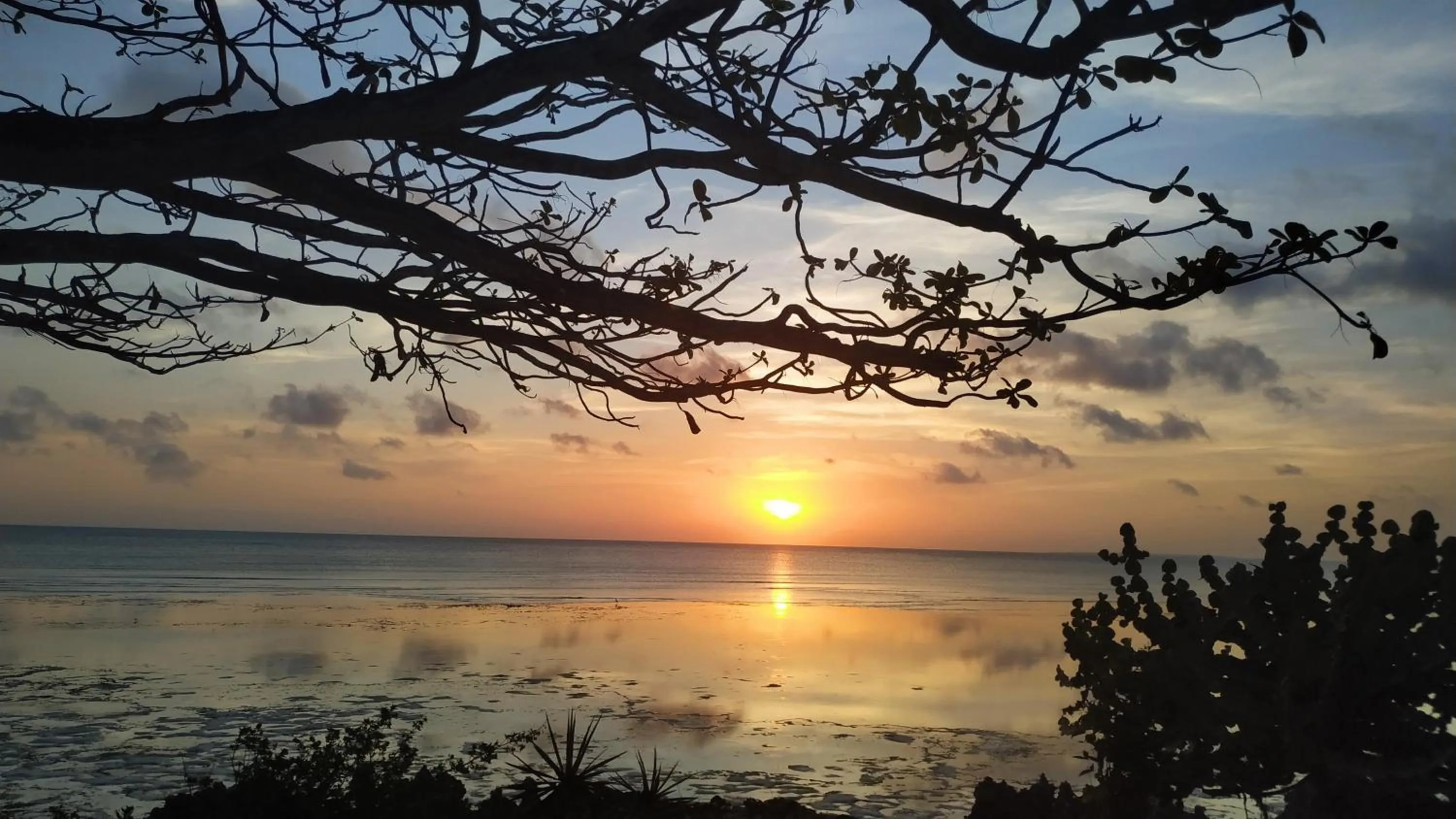 Sea view in Karamba Eco Boutique Hotel