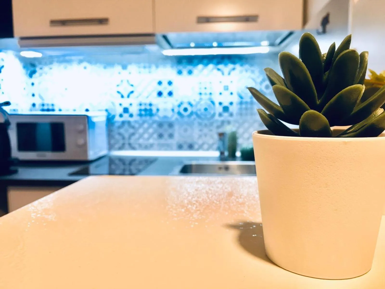 Day in FRANZ GUEST HOUSE