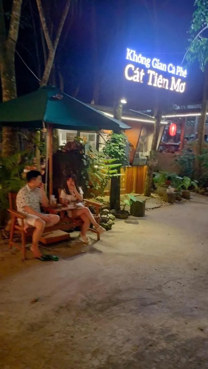 Night in Green Bamboo Lodge Resort