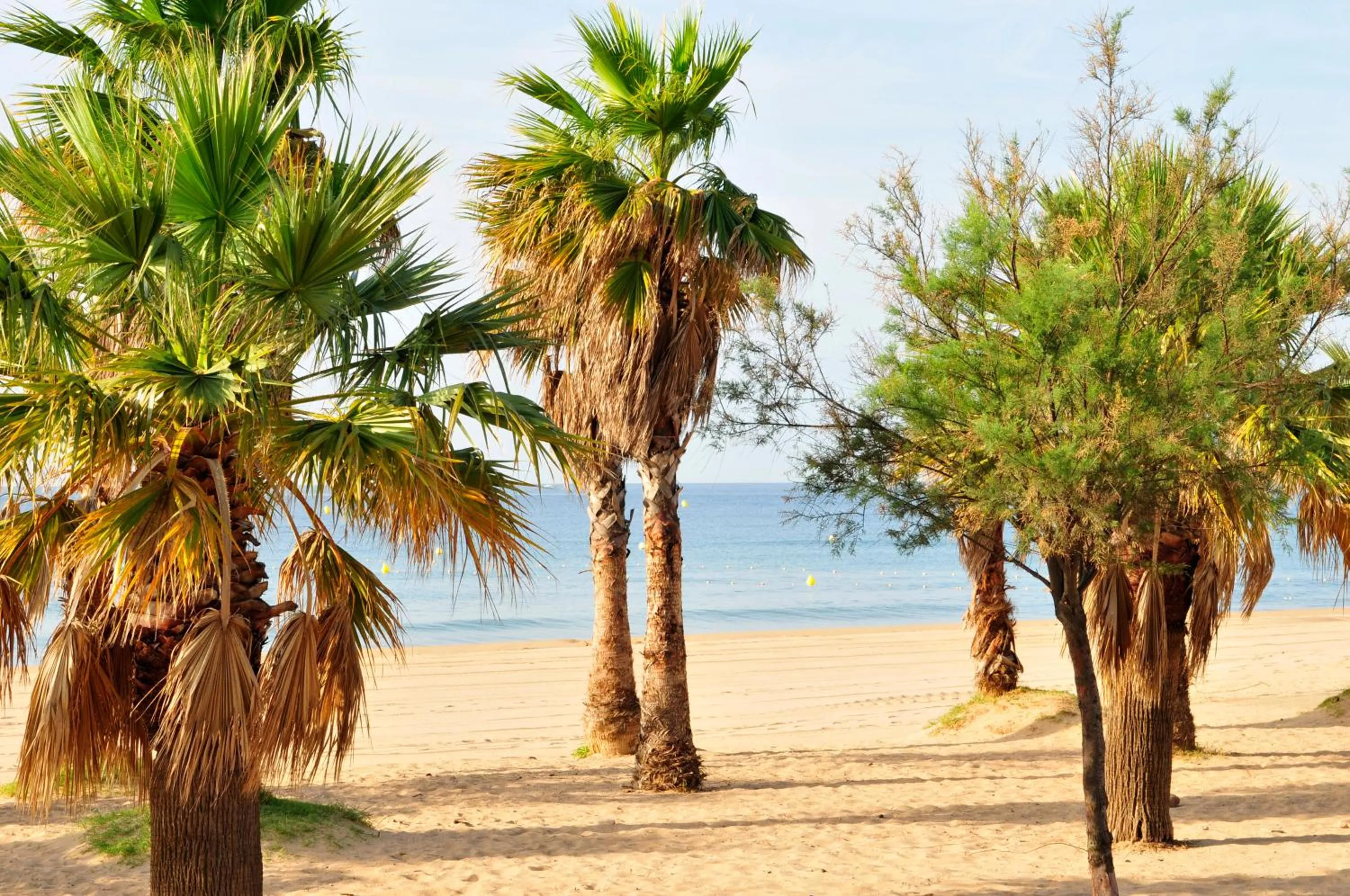 Beach in Hôtel Miléade Méditerranée - Port-Fréjus