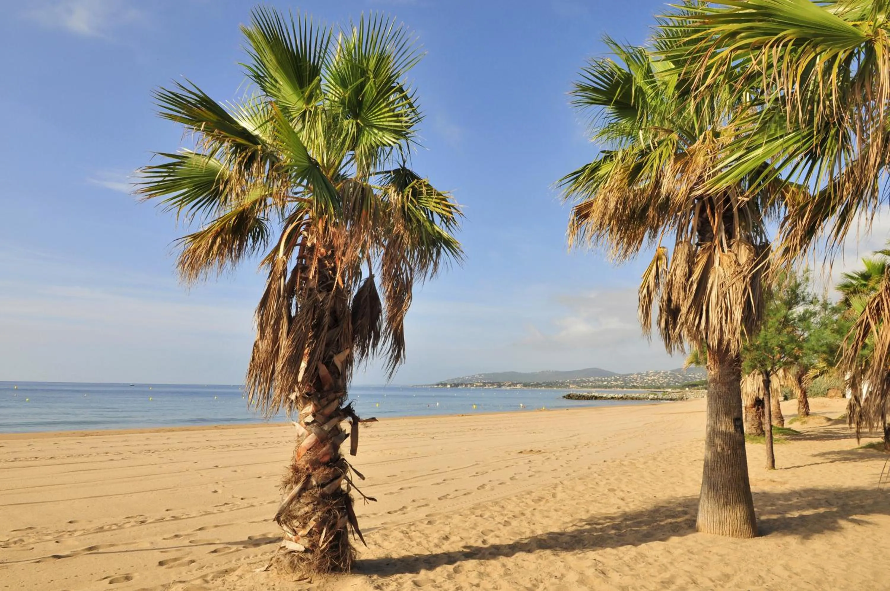 Area and facilities in Hôtel Miléade Méditerranée - Port-Fréjus