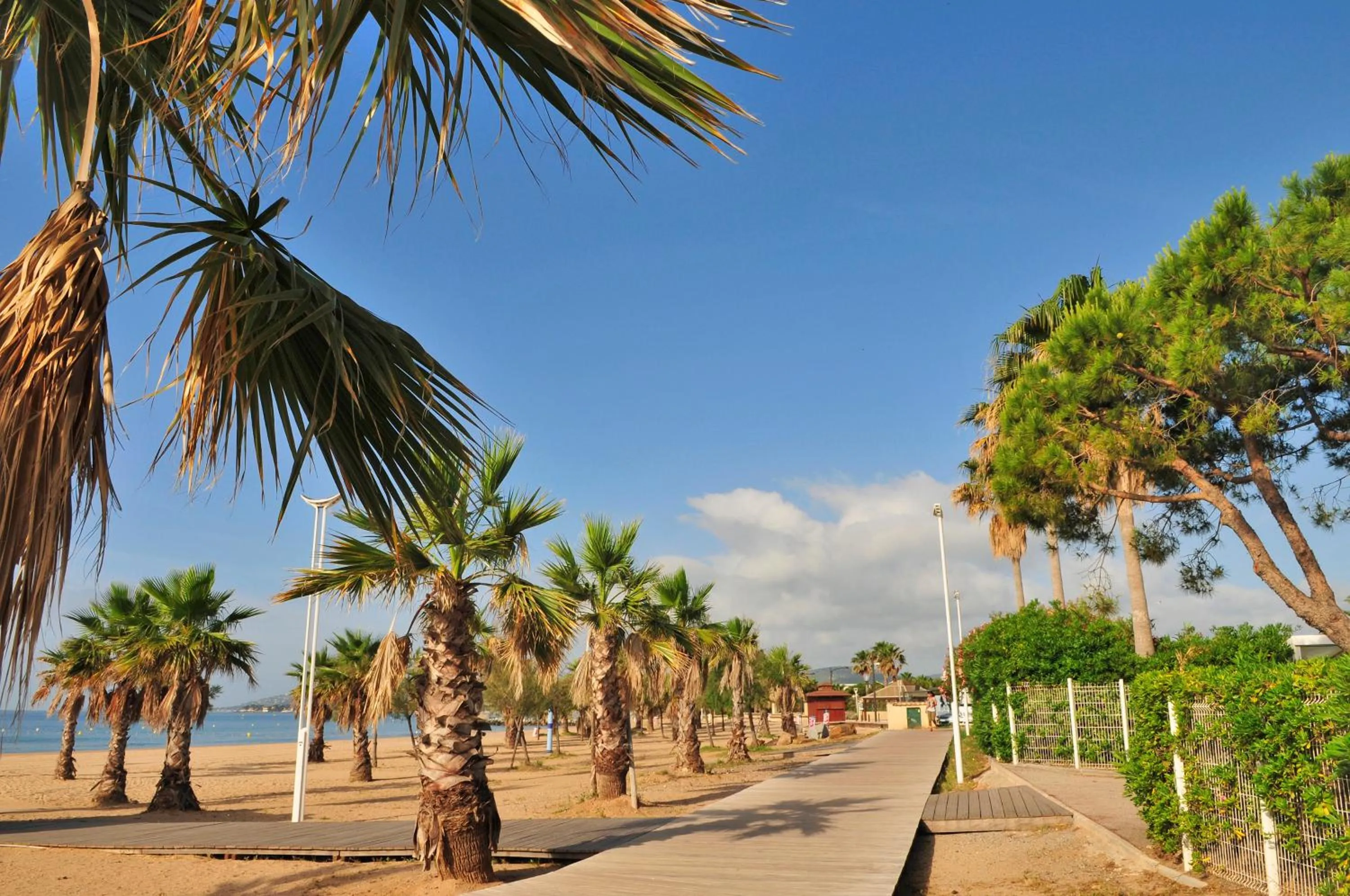 Beach in Hôtel Miléade Méditerranée - Port-Fréjus