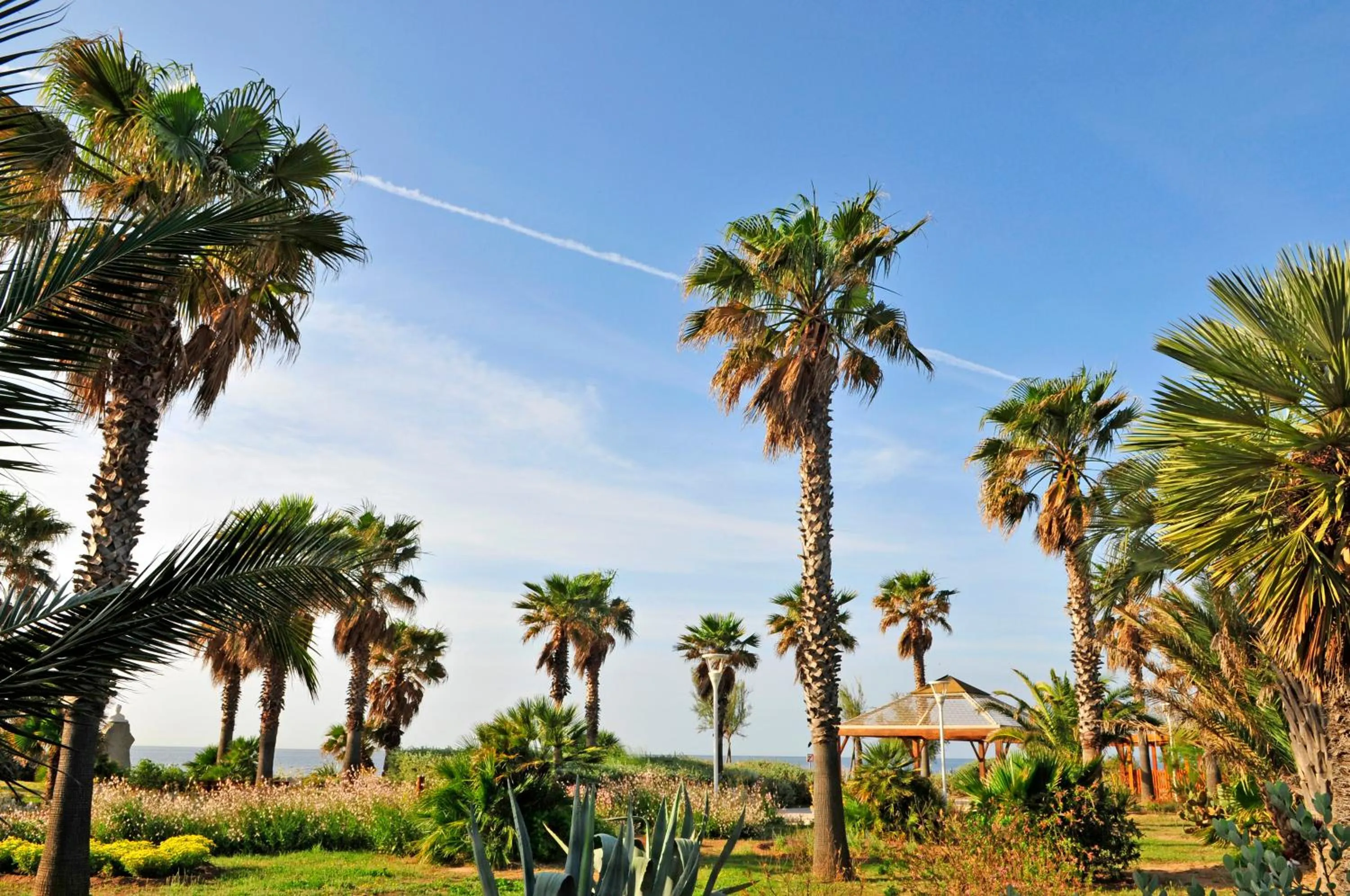 Sea view in Hôtel Miléade Méditerranée - Port-Fréjus
