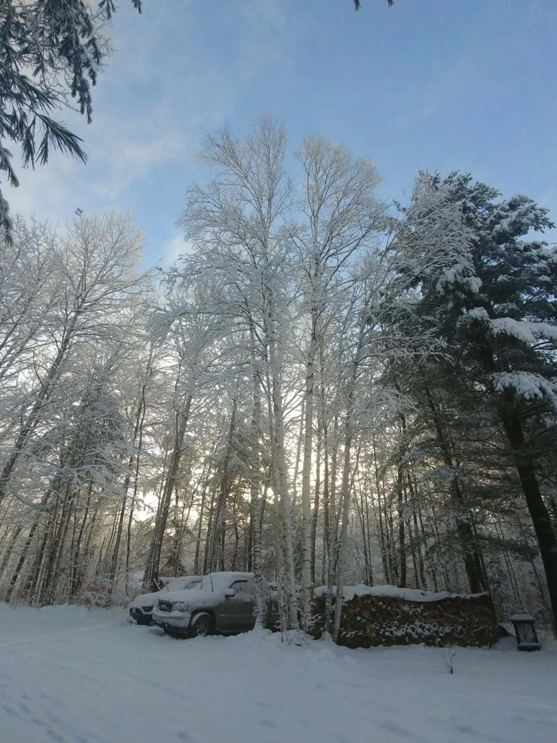 Winter in Suite in the Bush-Private Apartment