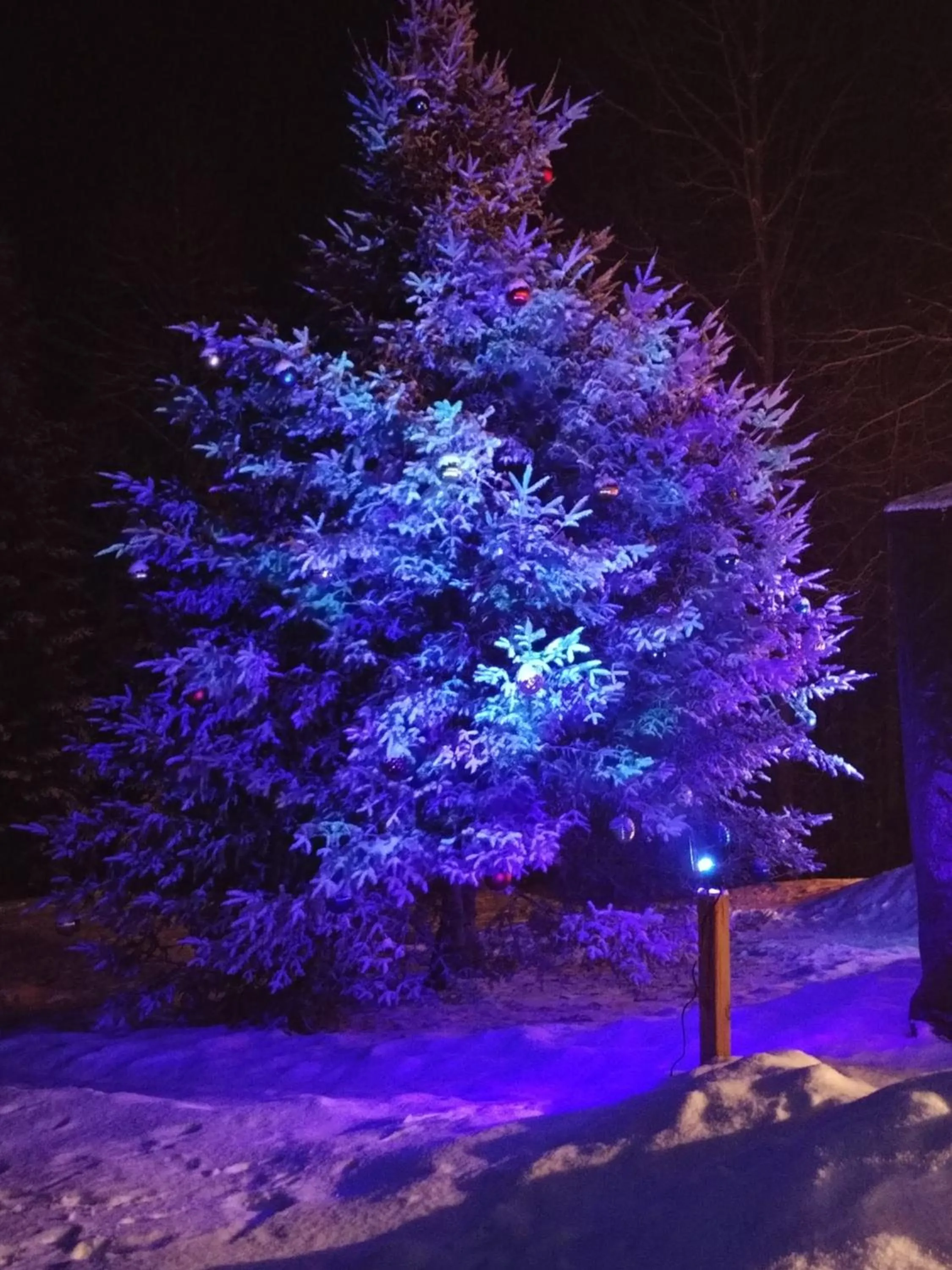 Natural landscape in Suite in the Bush-Private Apartment