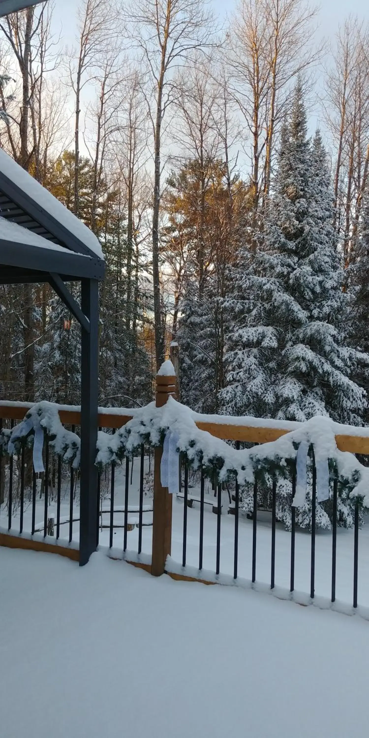 King Suite in Suite in the Bush-Private Apartment King Suite in Suite in the Bush-Private Apartment