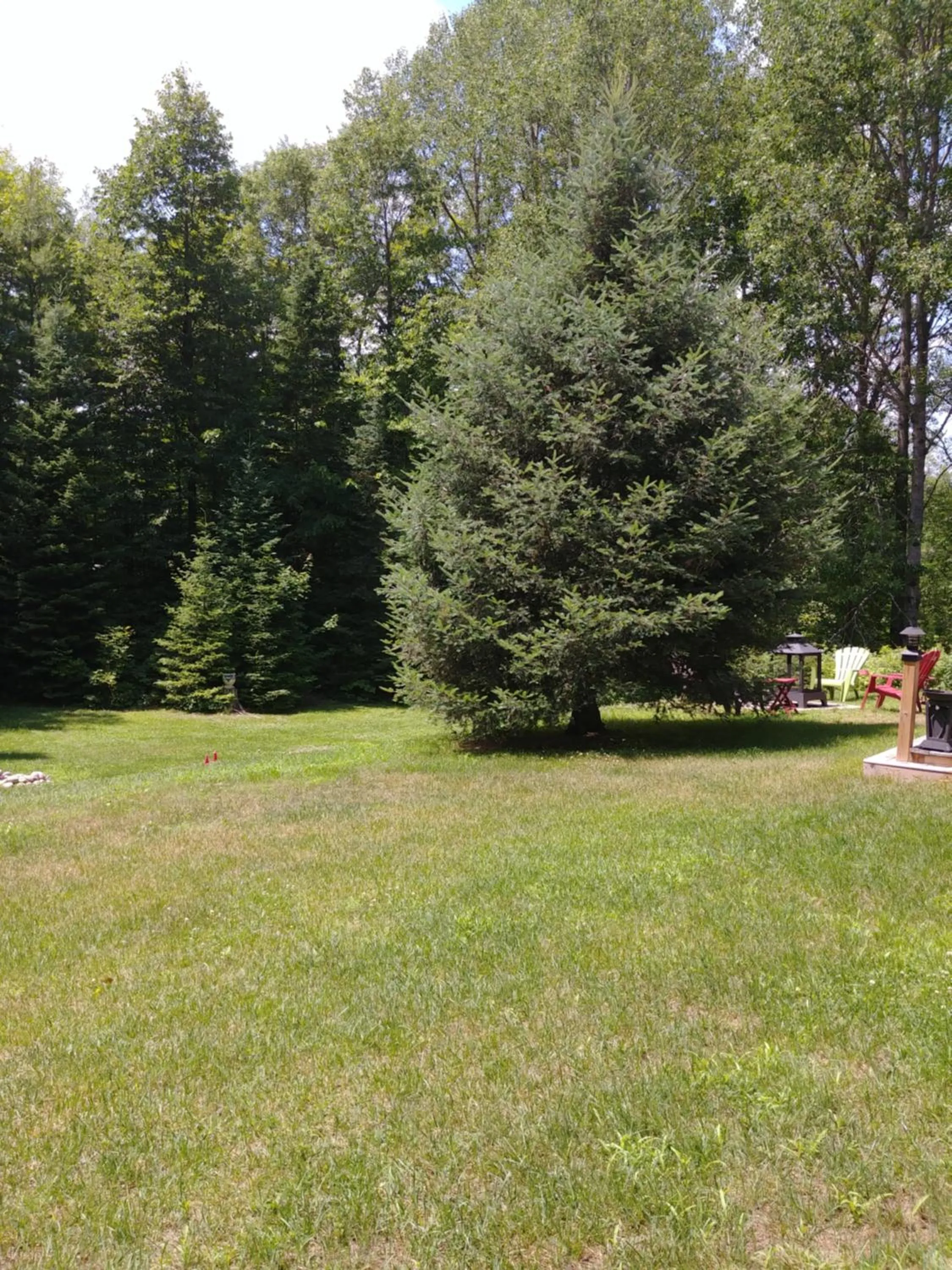 Natural landscape in Suite in the Bush-Private Apartment