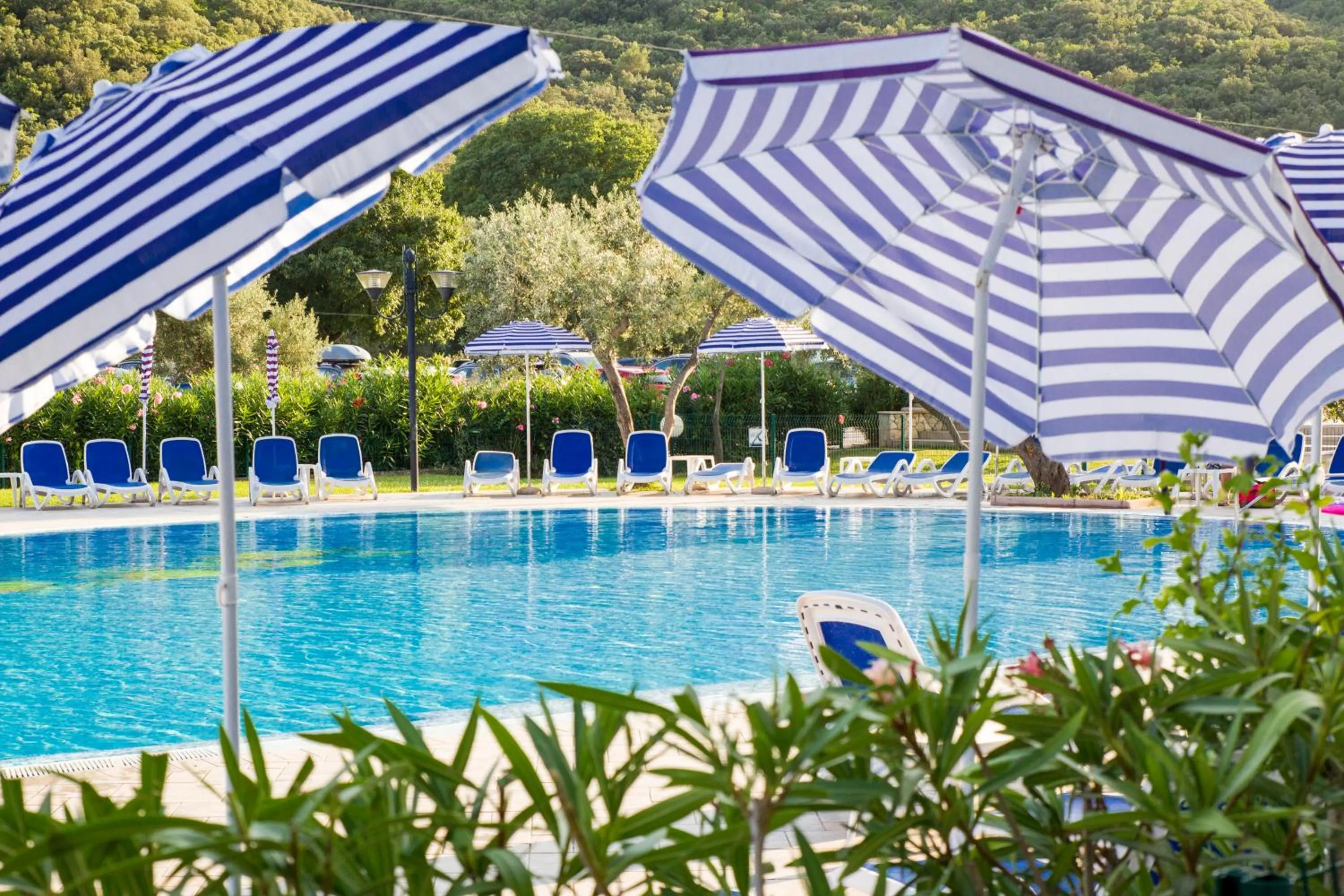 Swimming pool in MASLINICA Hedera Hotel