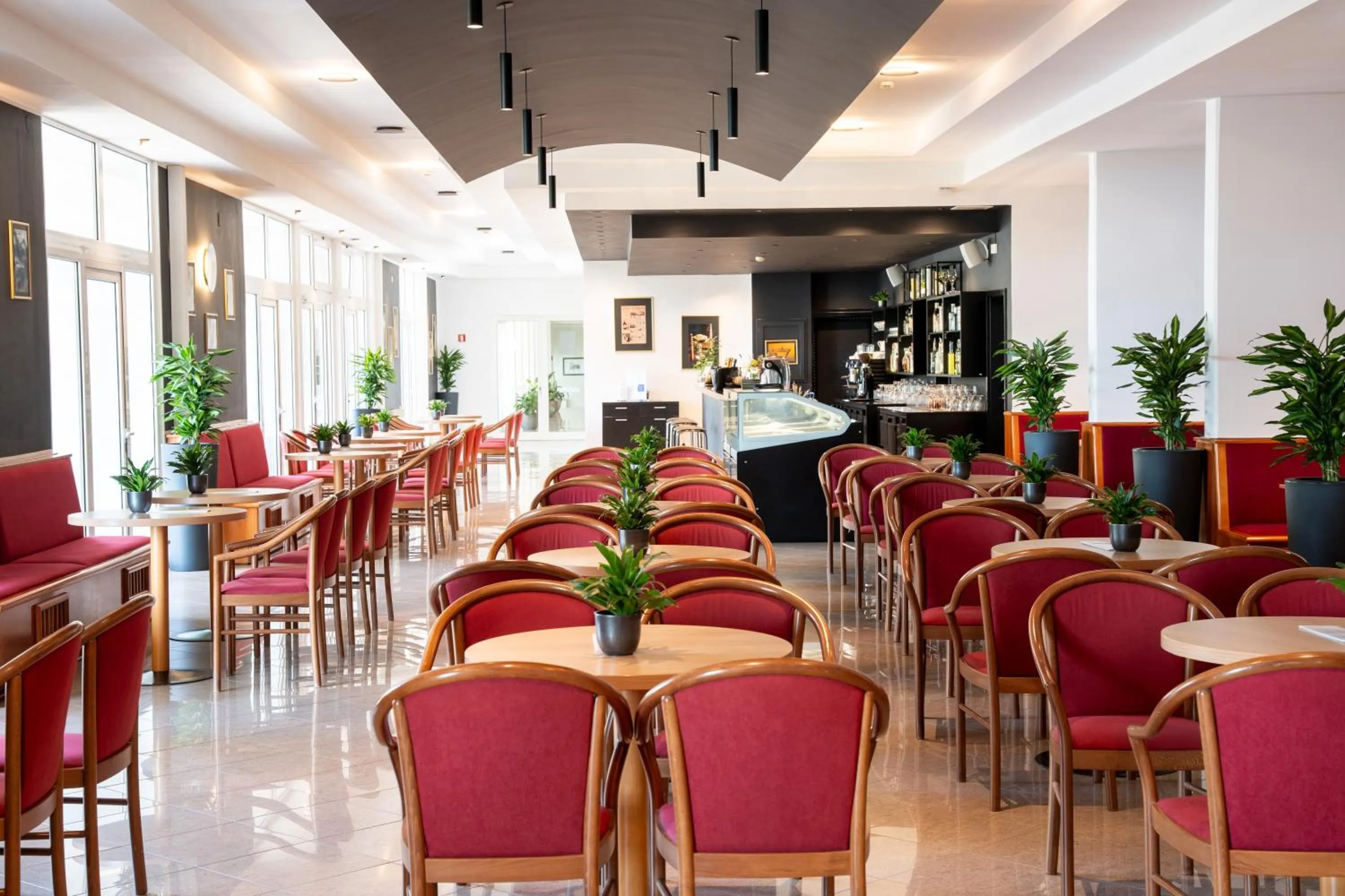 Lounge or bar in MASLINICA Hedera Hotel