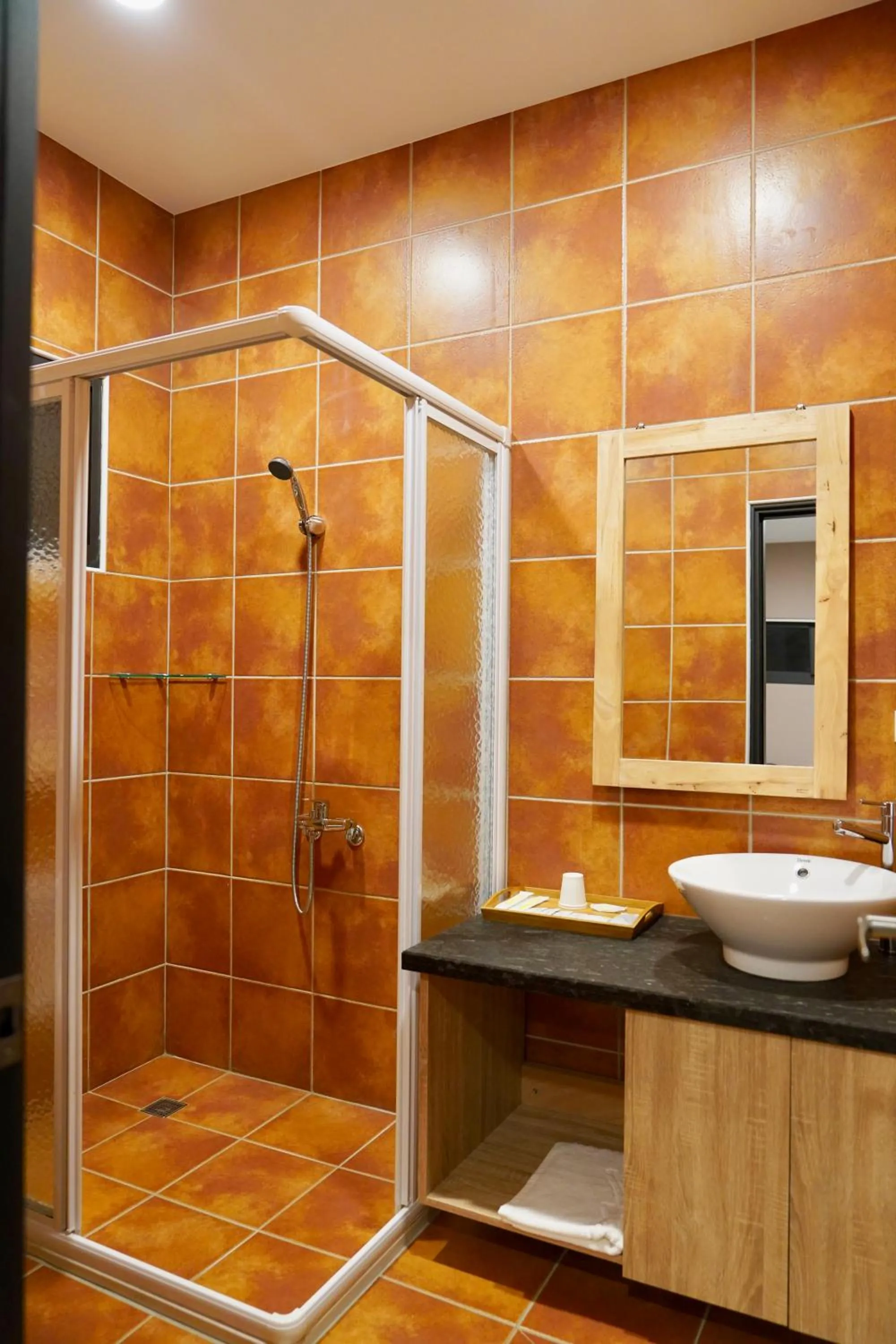 Shower in MTNY Hotel