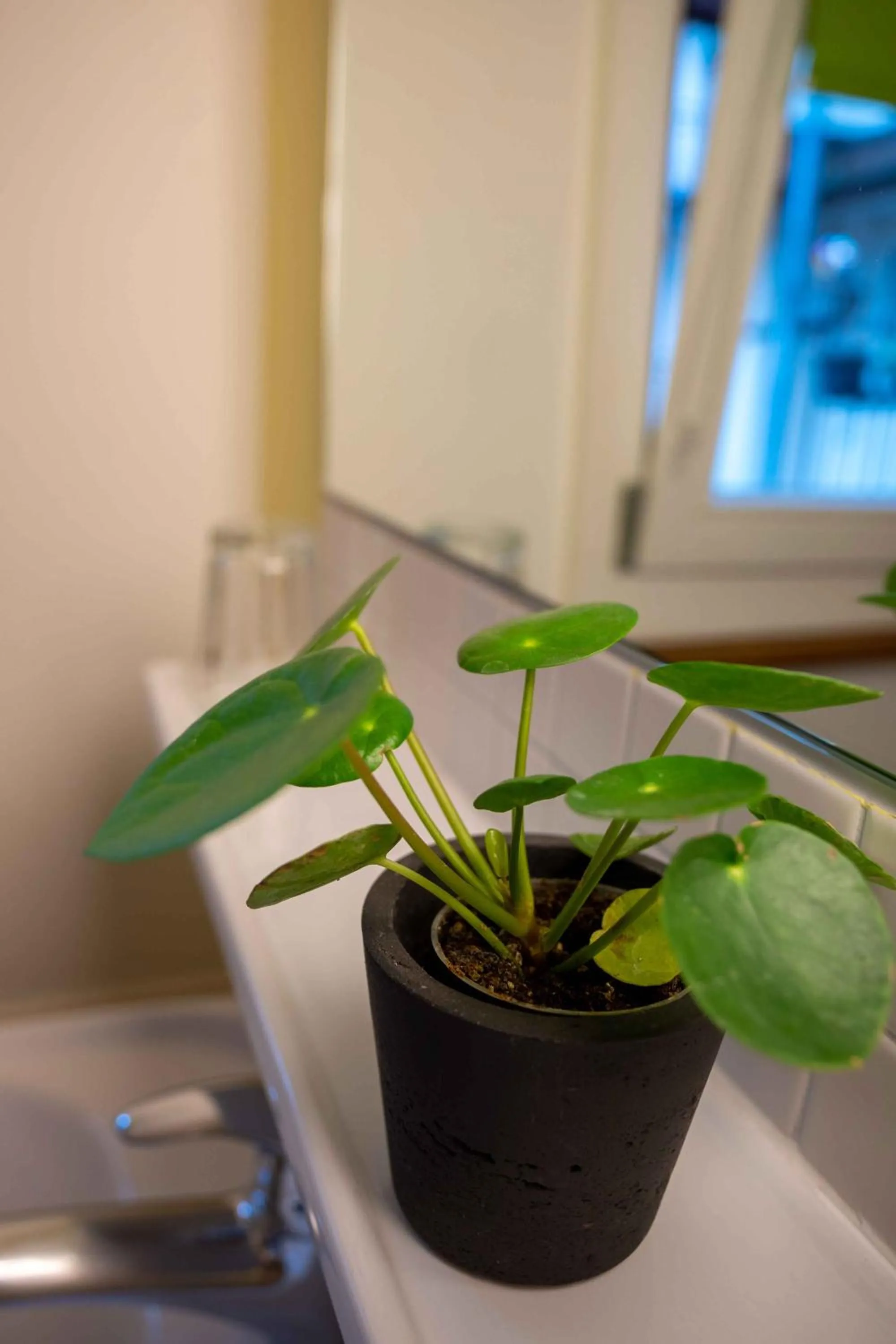 Decorative detail in Hotel Marthahaus