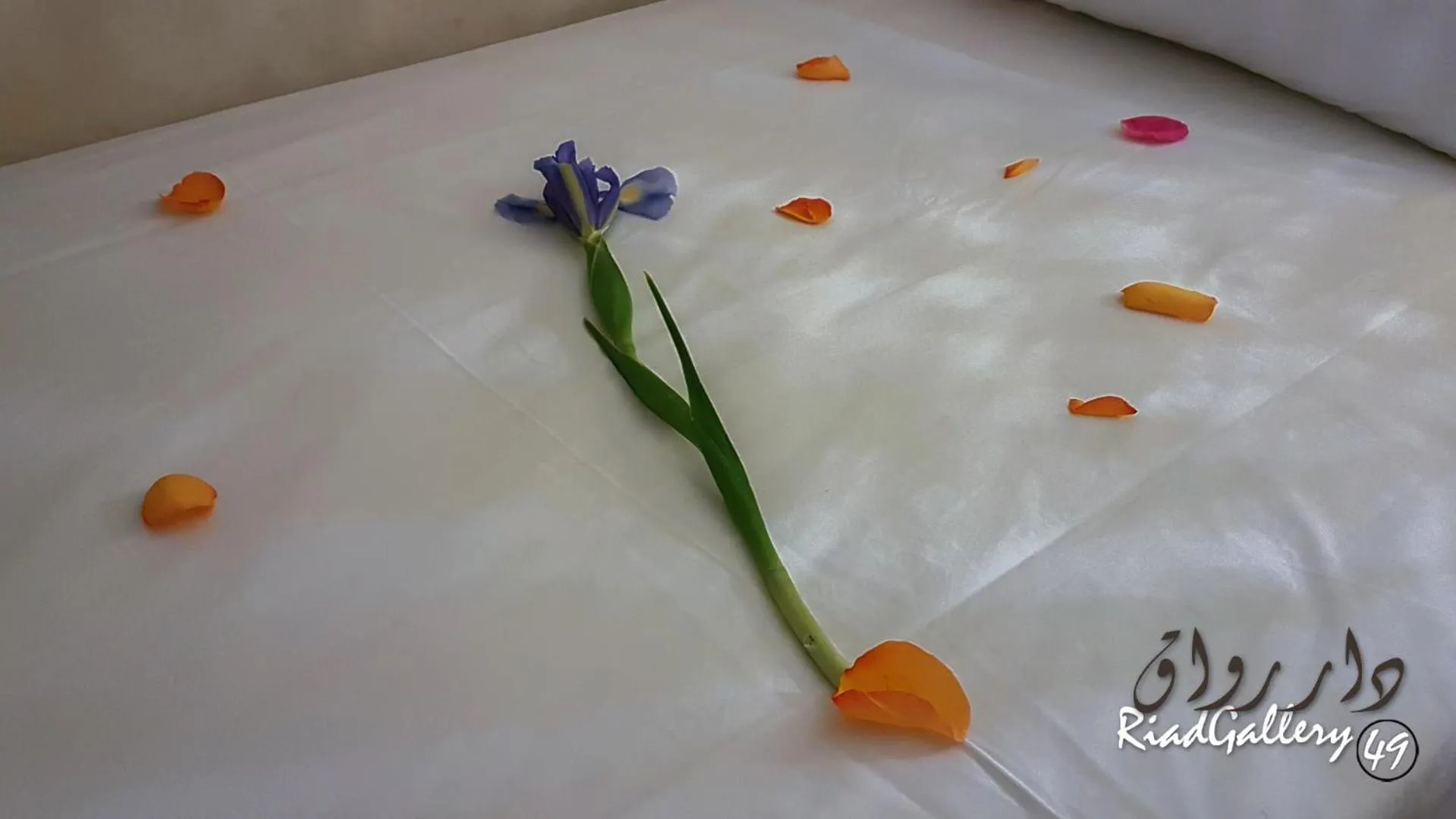 Bedroom, Bed in Riad Gallery 49 & Spa