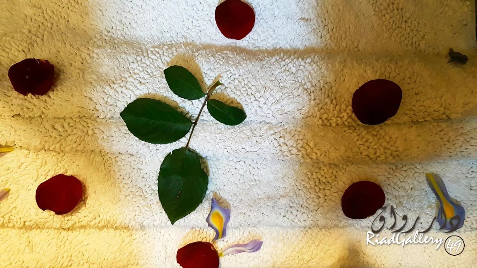 View (from property/room) in Riad Gallery 49 & Spa