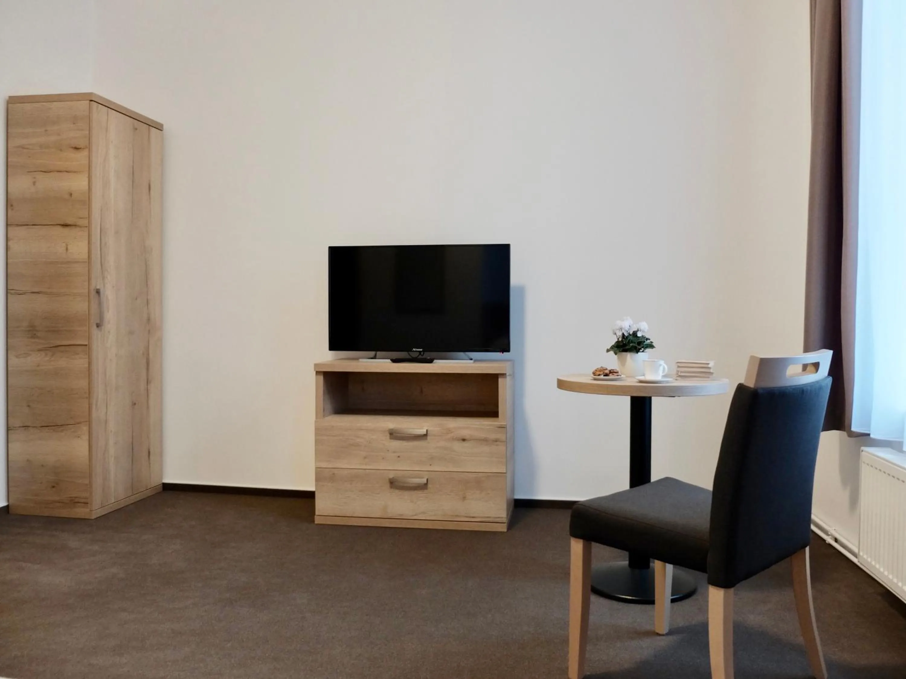 TV and multimedia in Penzion Stará pošta