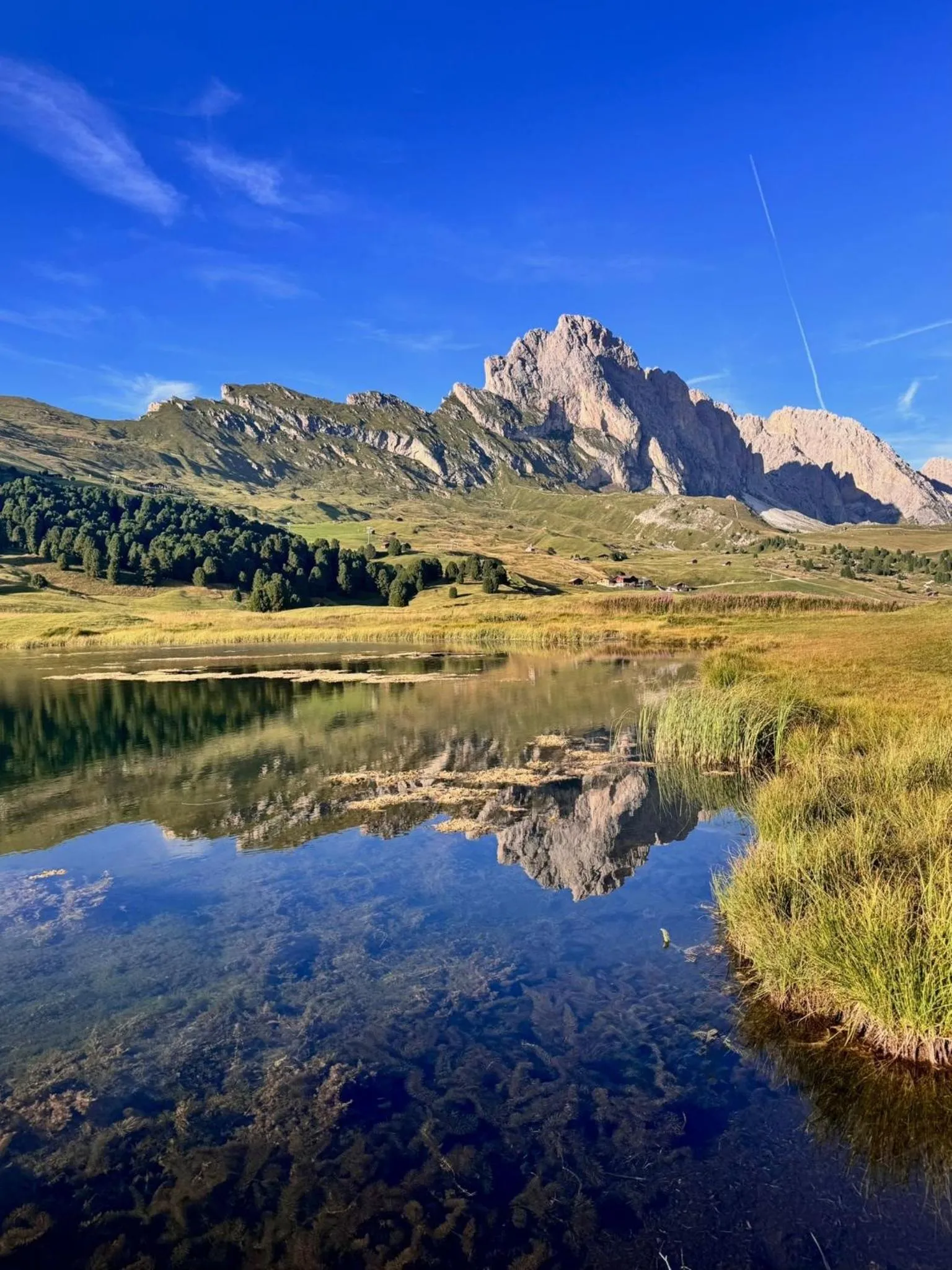 Natural landscape in Hotel Arnaria
