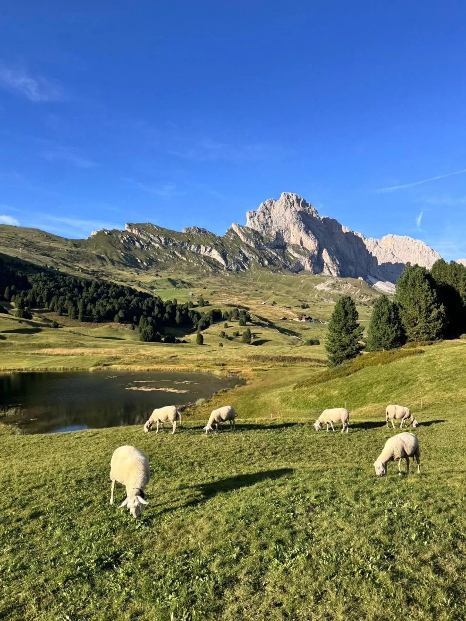 Natural landscape in Hotel Arnaria