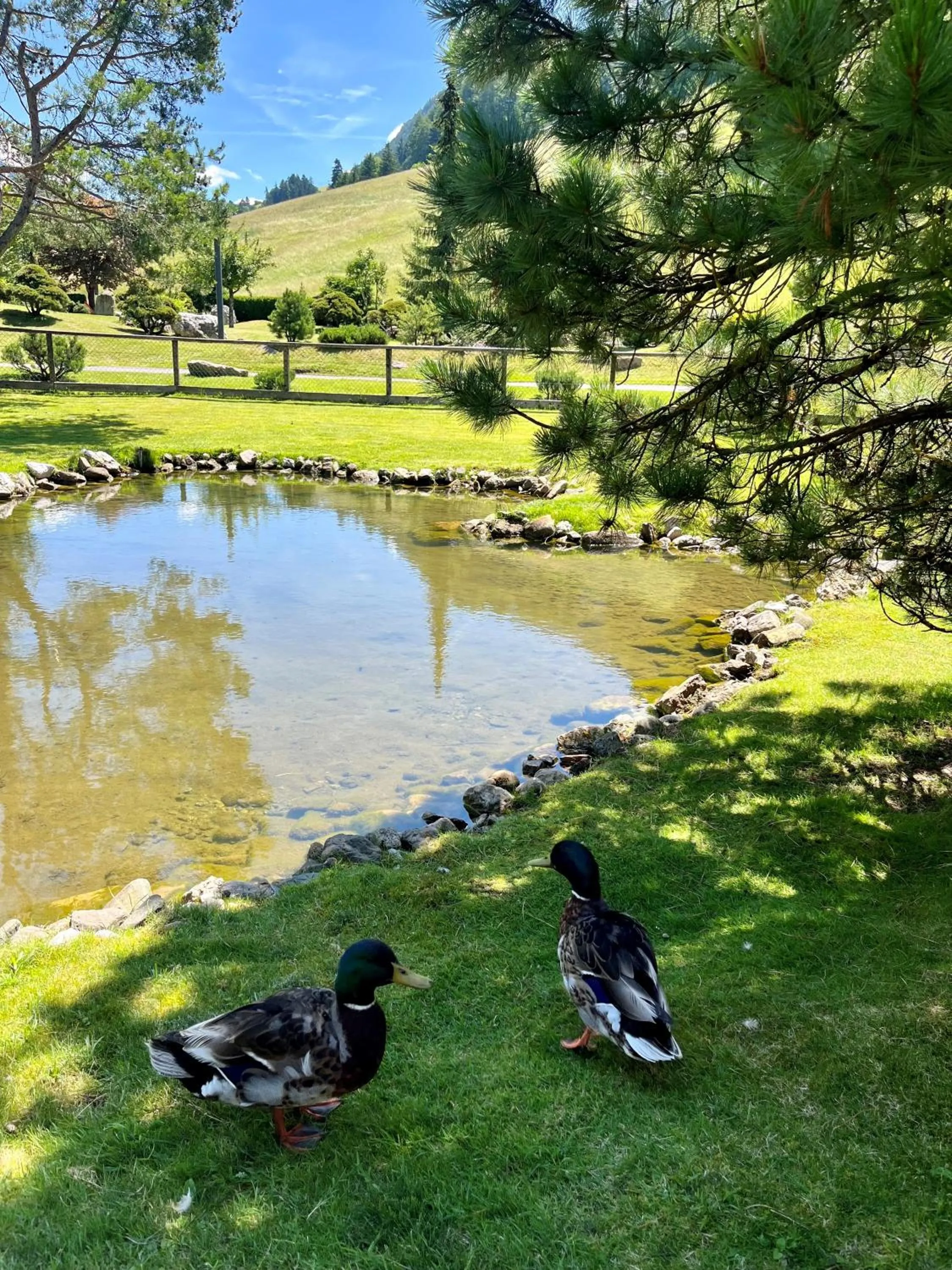 Natural landscape in Hotel Arnaria