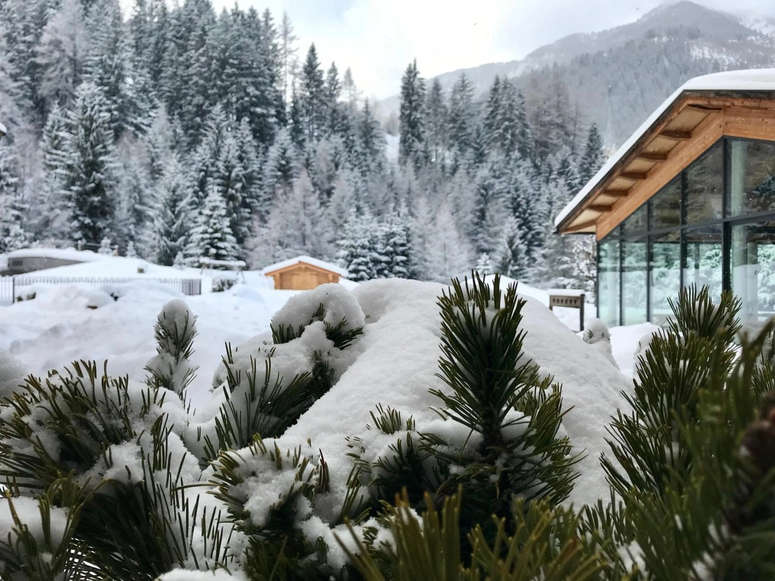 Winter in Hotel Arnaria