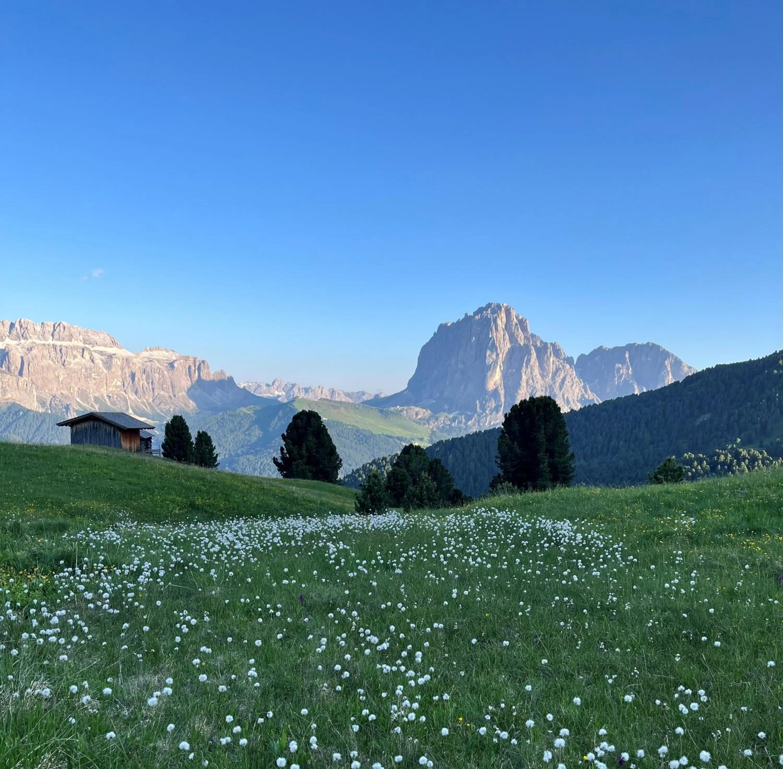 Day in Hotel Arnaria