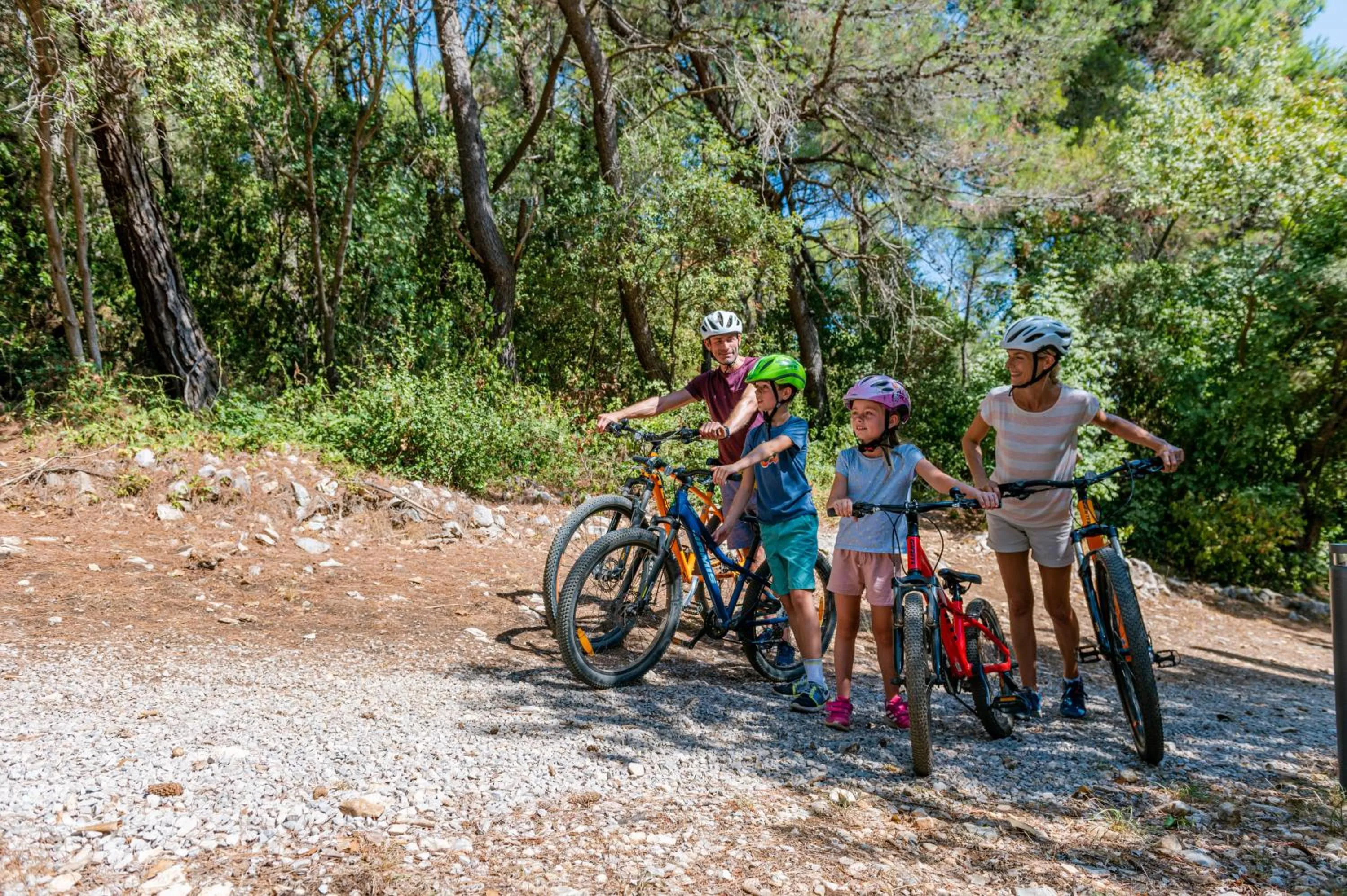 Activities in MASLINICA Narcis Hotel