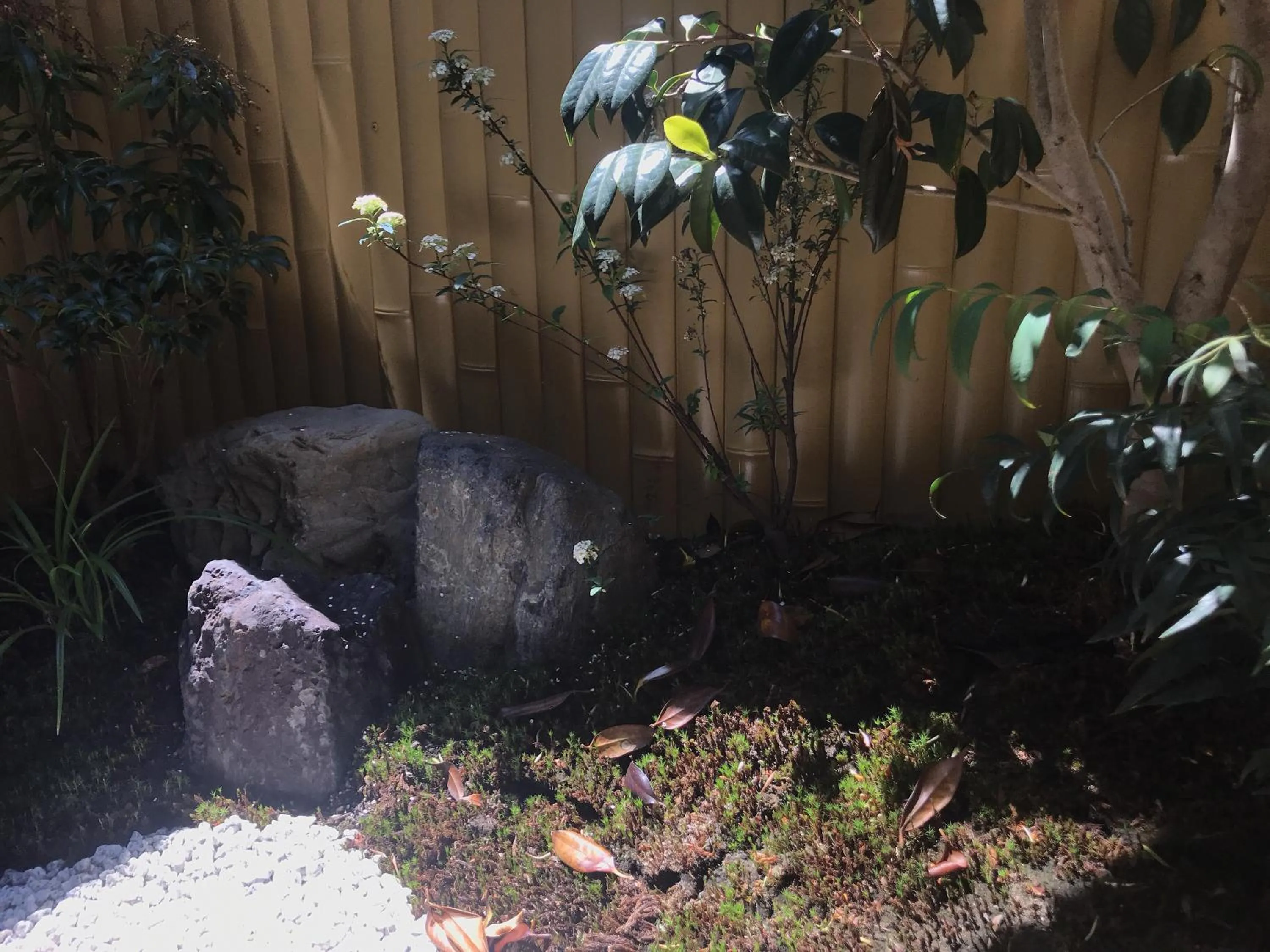 Garden in Shiki Shiki Higashiyama