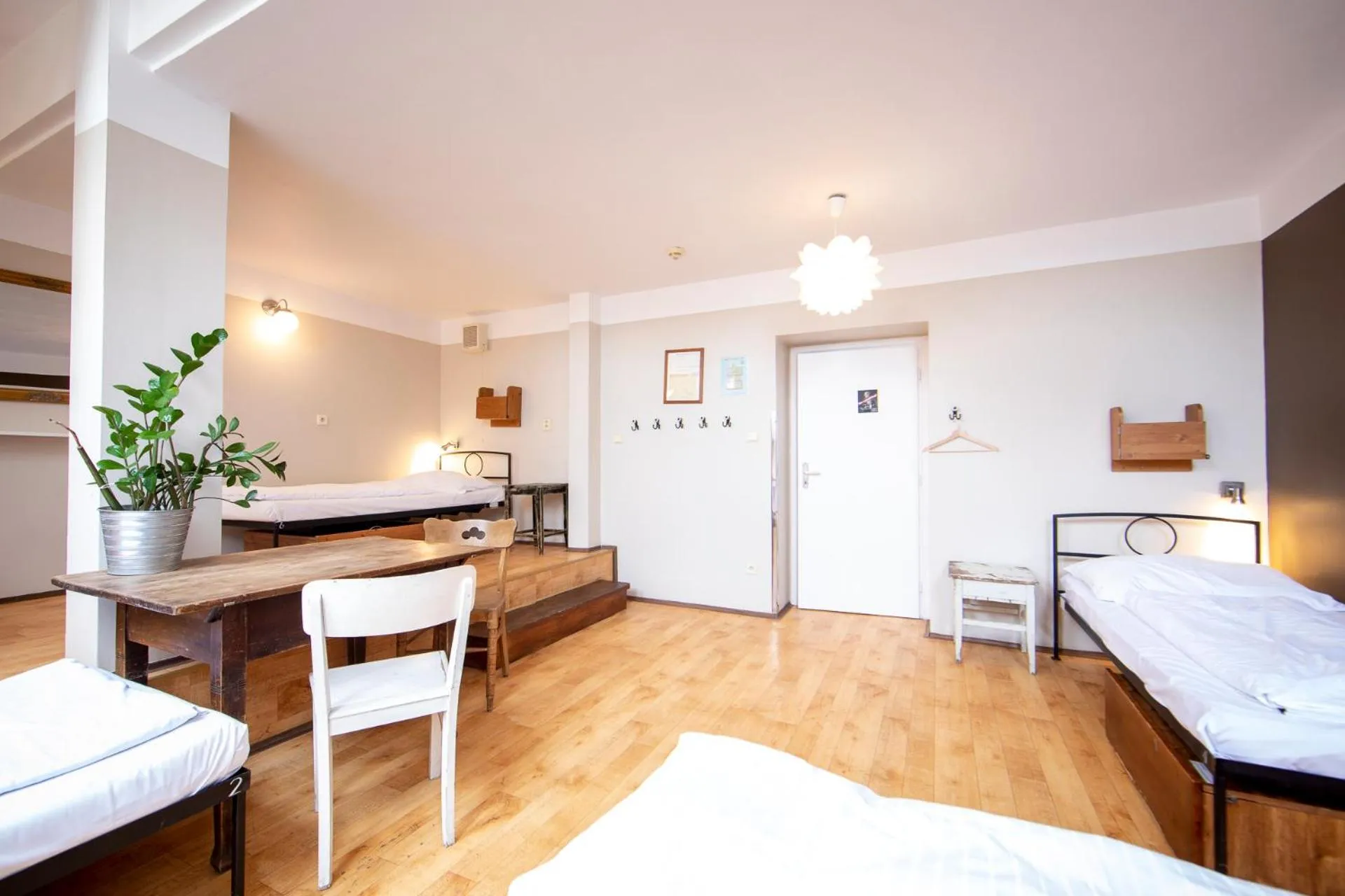 Photo of the whole room, Bed in Sir Toby's Hostel