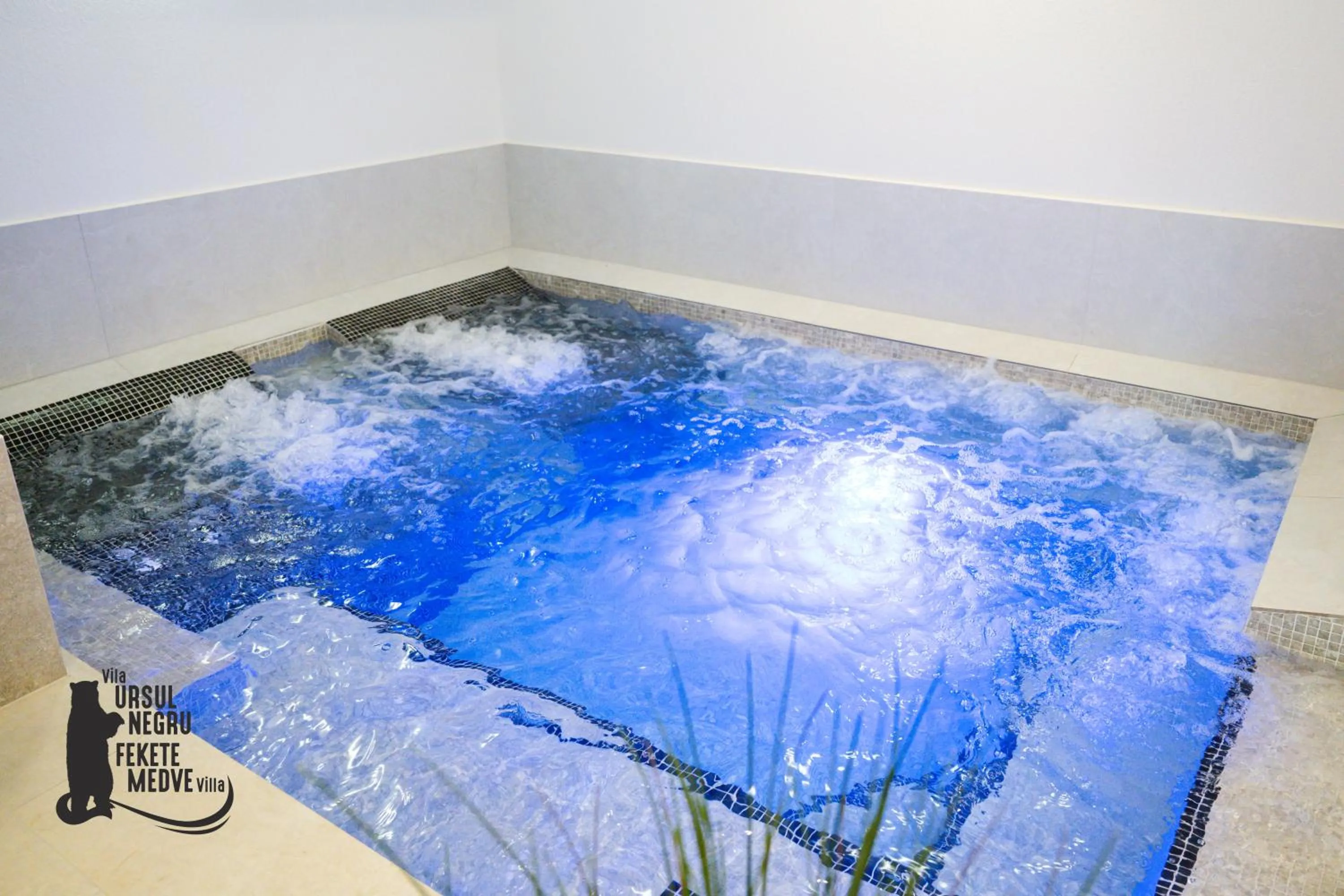 Spa and wellness centre/facilities in Vila Ursul Negru